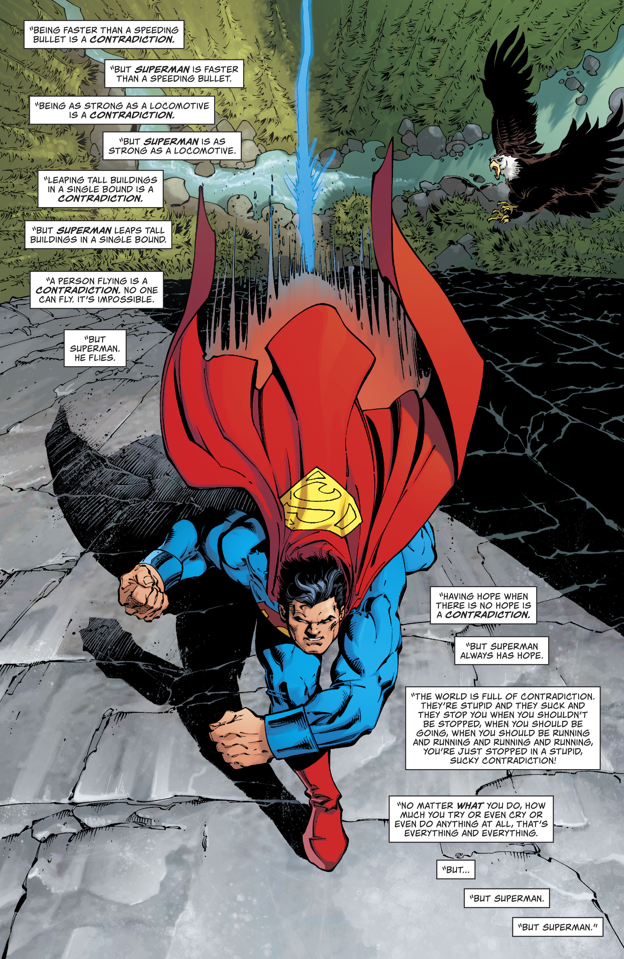 Superman Up In The Sky Chapter Page