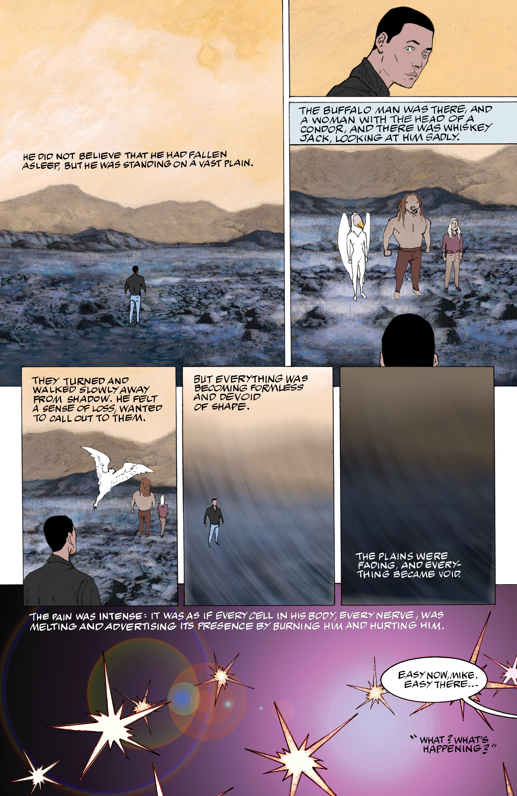 American Gods: The Moment of the Storm (2019) issue 8 - Page 12