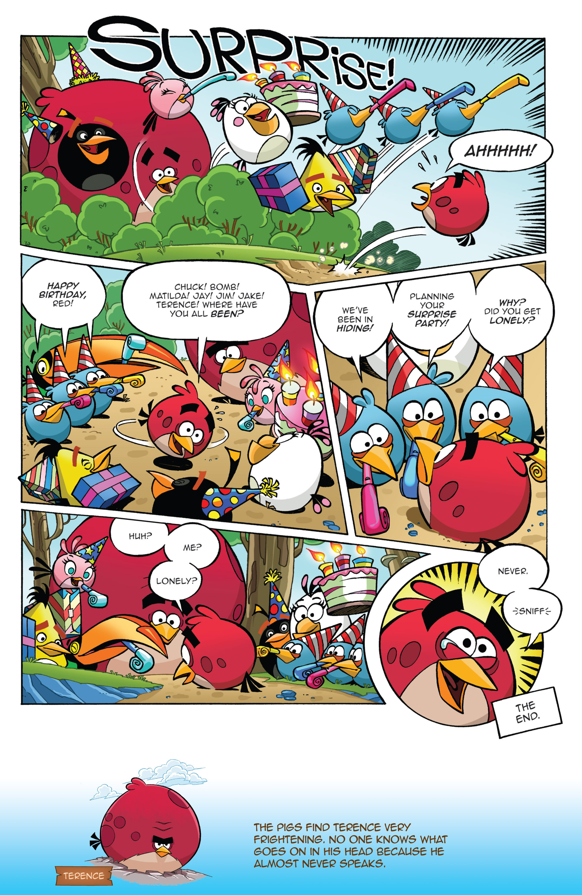 Angry Bird (2016) issue 1 - Page 12