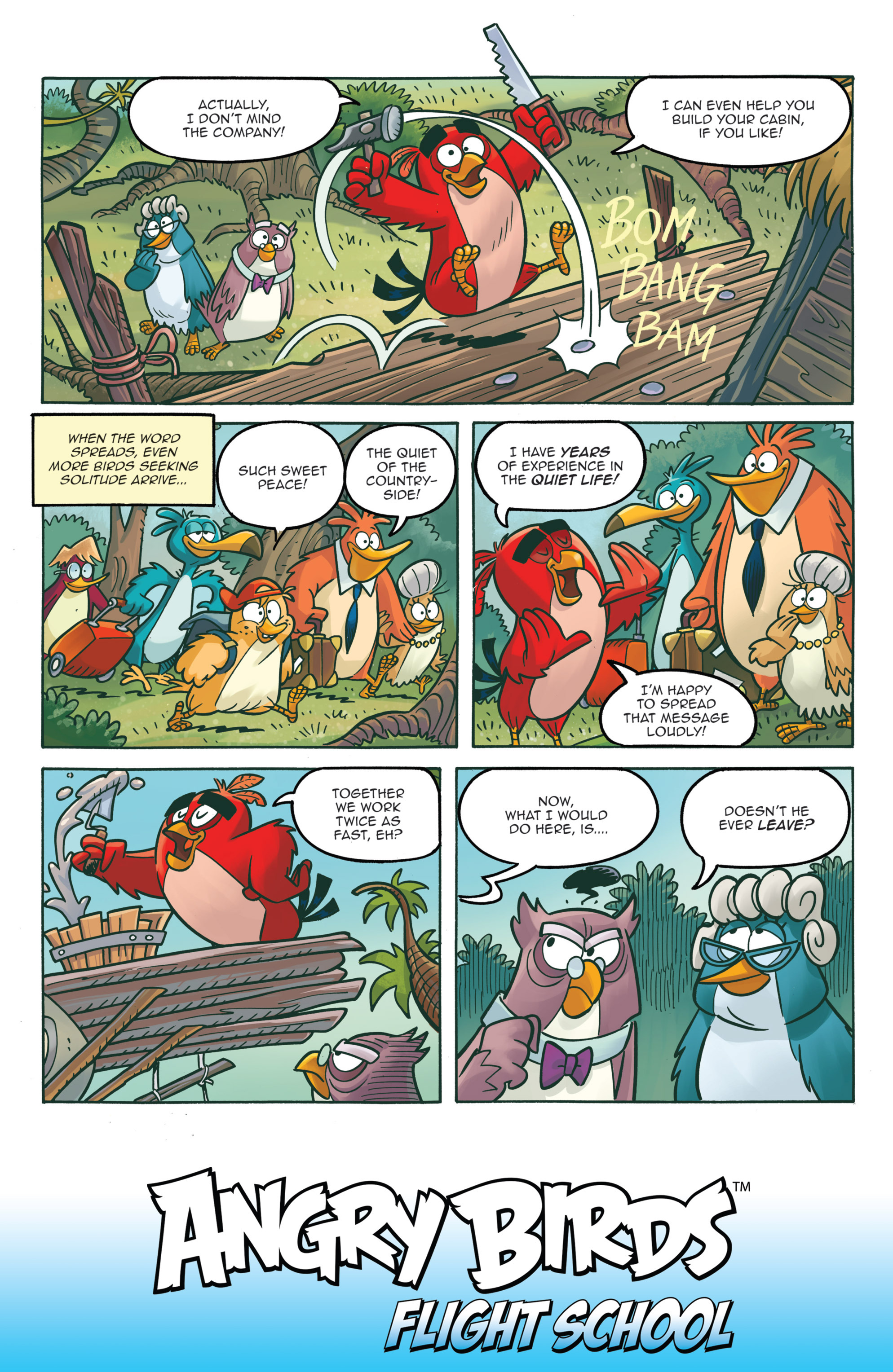 Angry Birds: Flight School (2017) issue 2 - Page 11