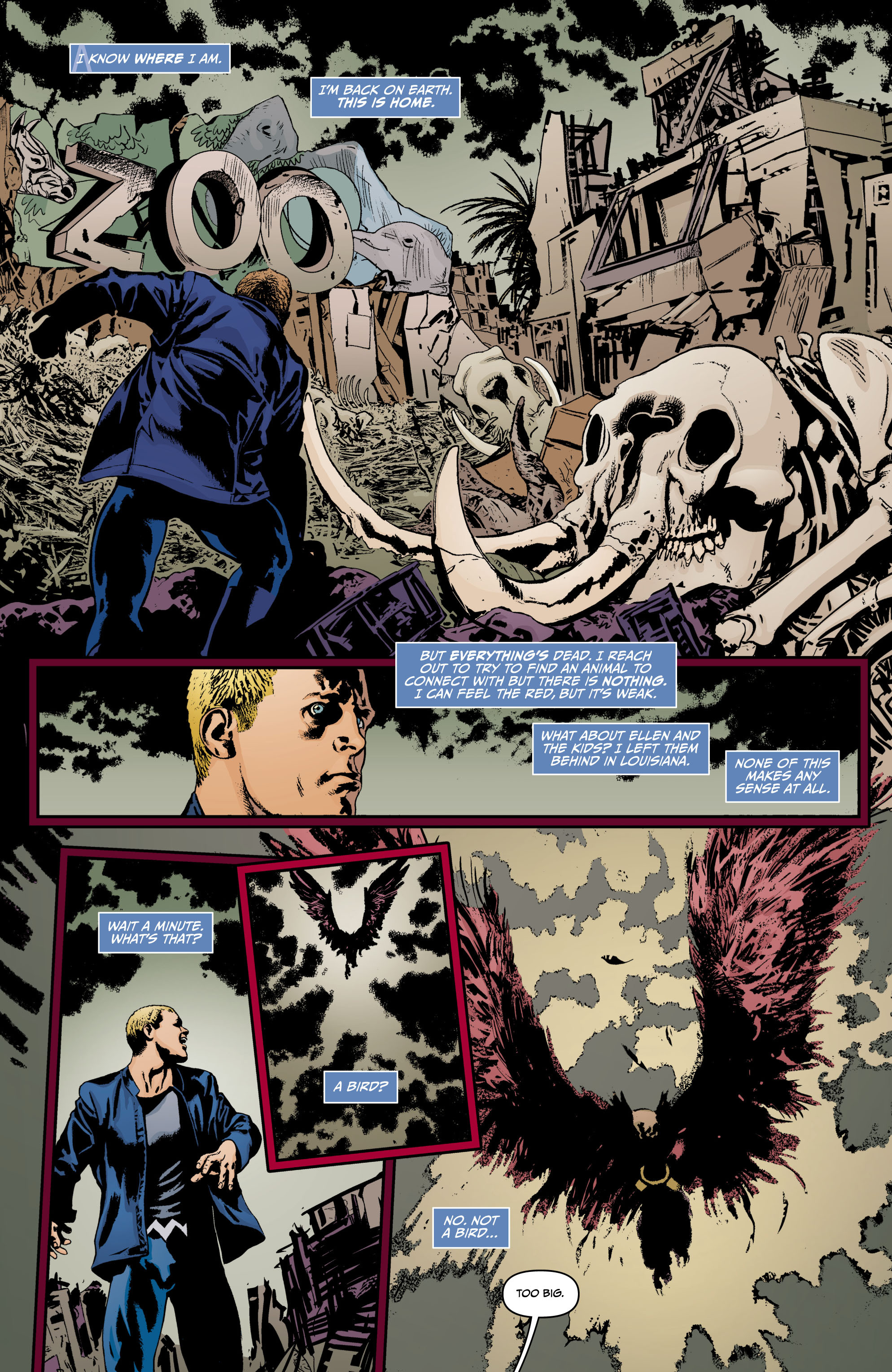 Animal Man (2011-2014) (New 52) issue 13 - Page 3