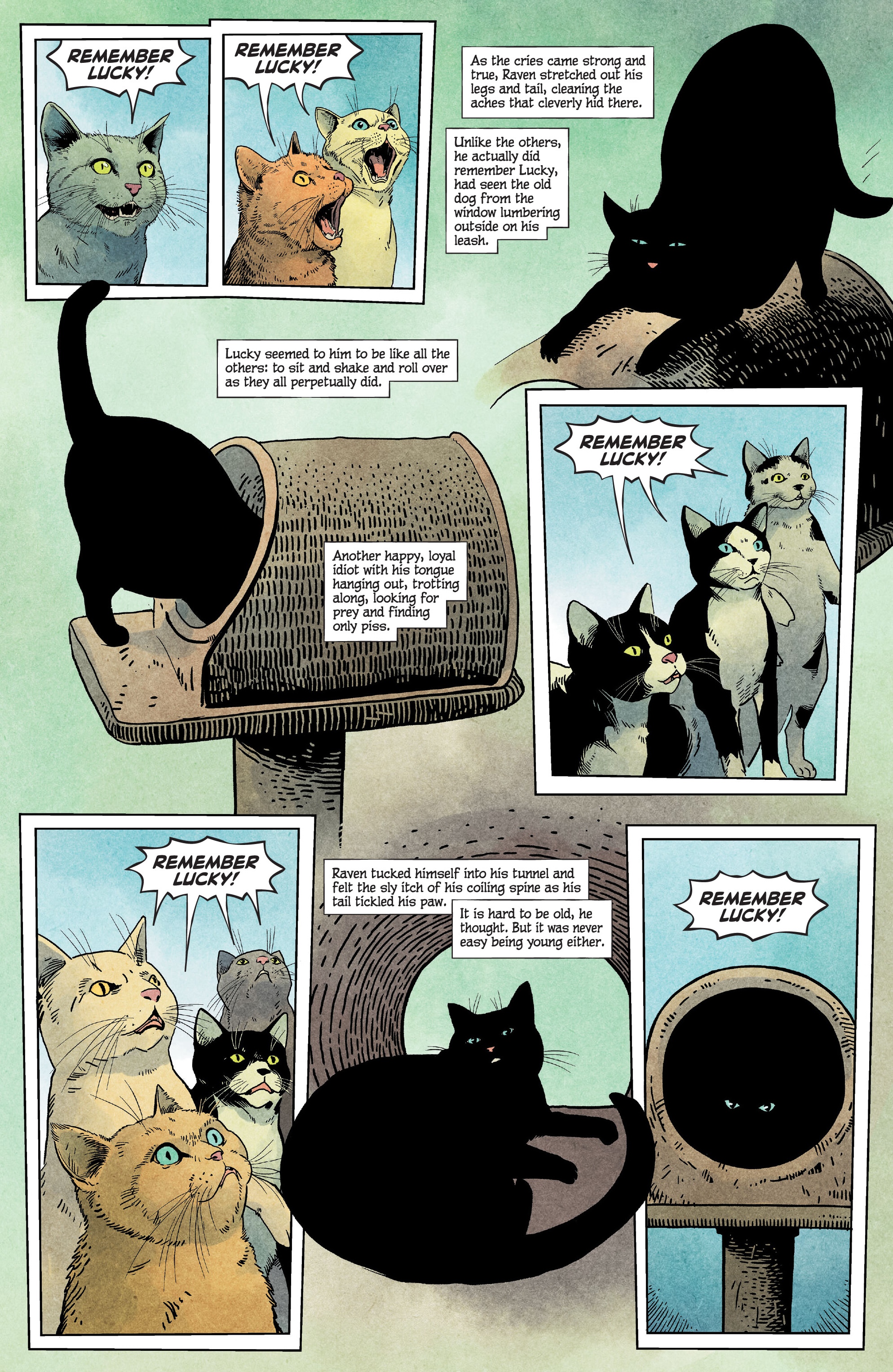 Animal Pound (2023-): Chapter 1 - Page 13