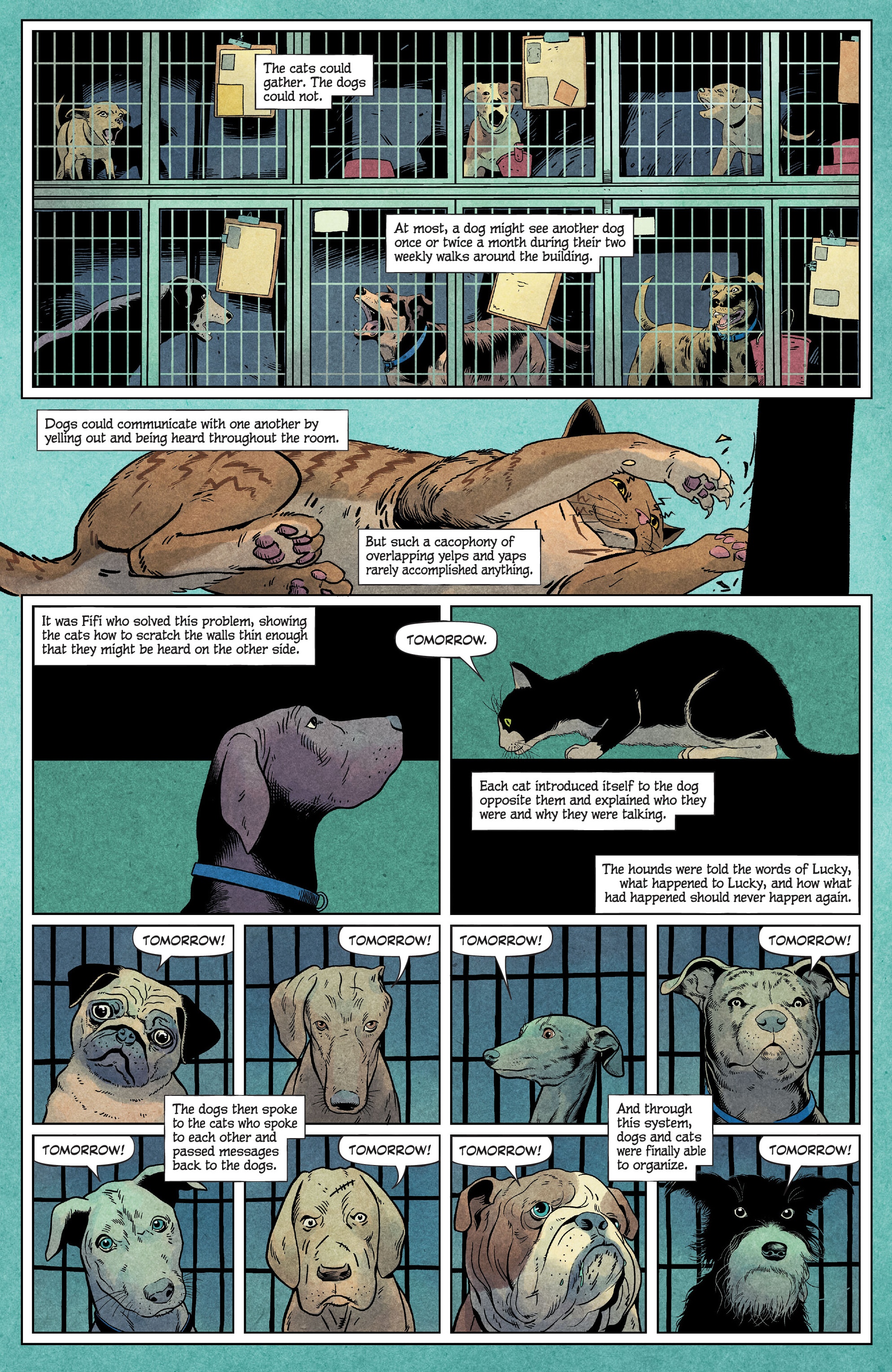 Animal Pound (2023-): Chapter 1 - Page 14