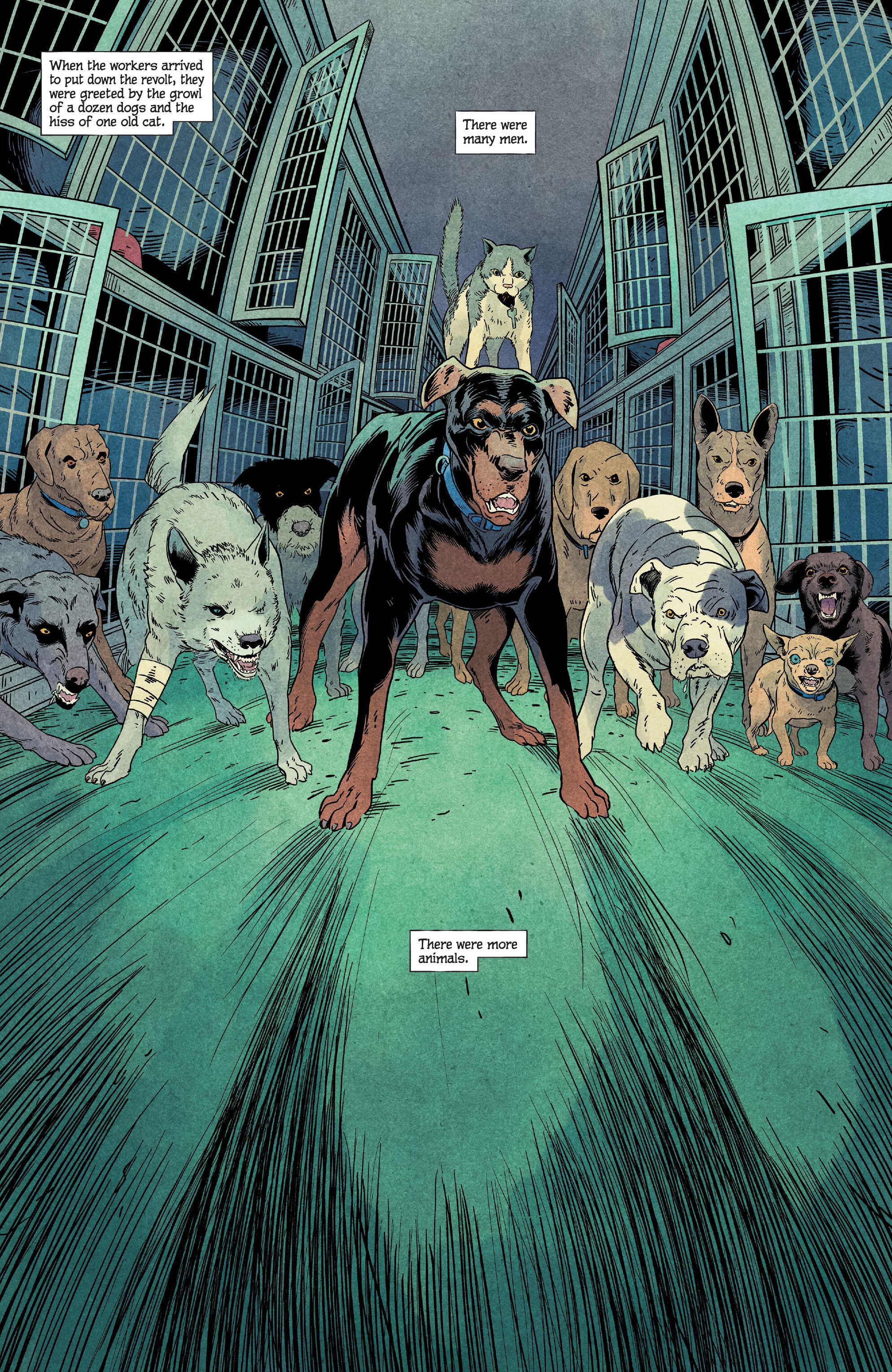 Animal Pound (2023-): Chapter 1 - Page 22