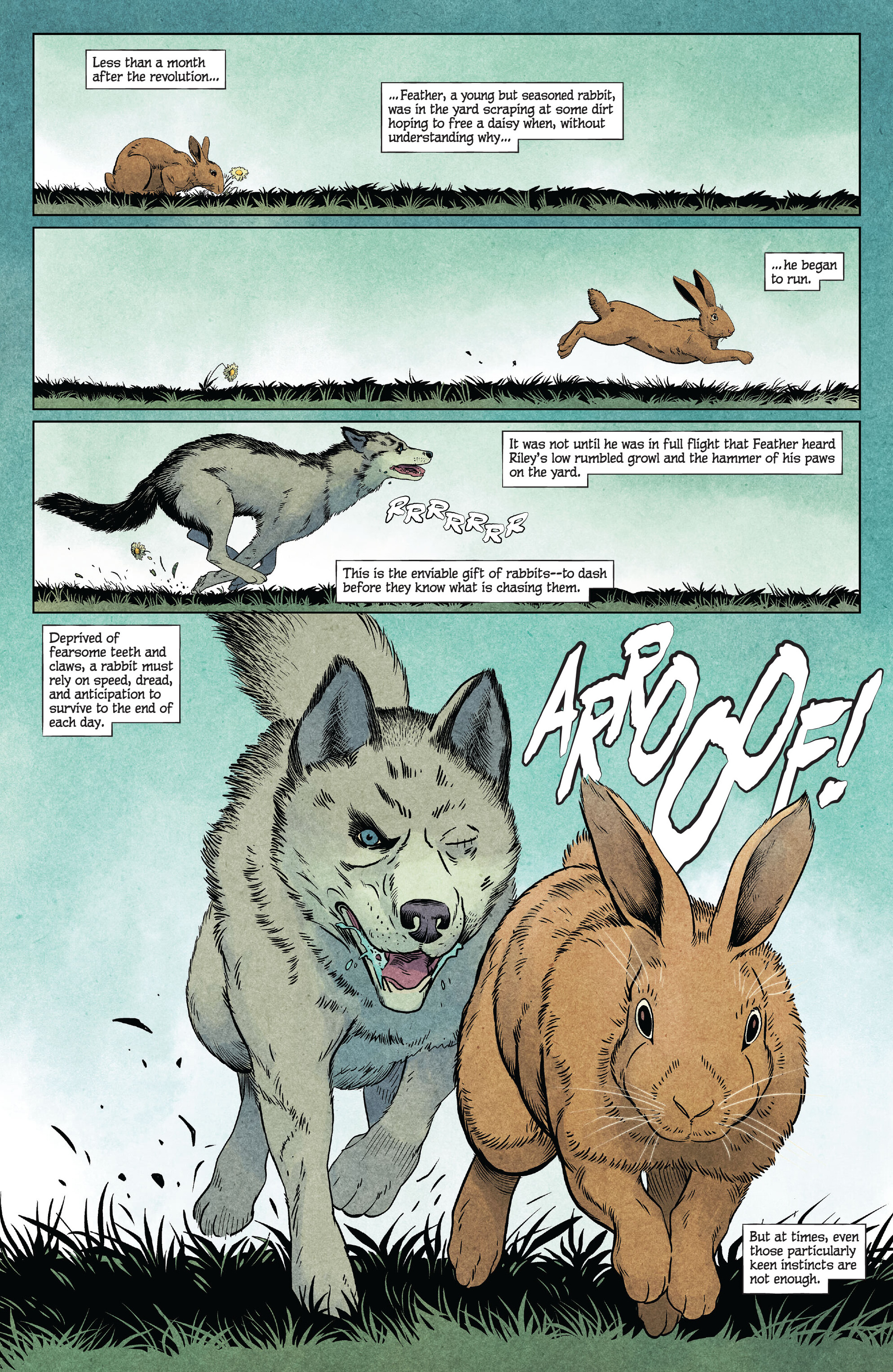 Animal Pound (2023-): Chapter 2 - Page 3