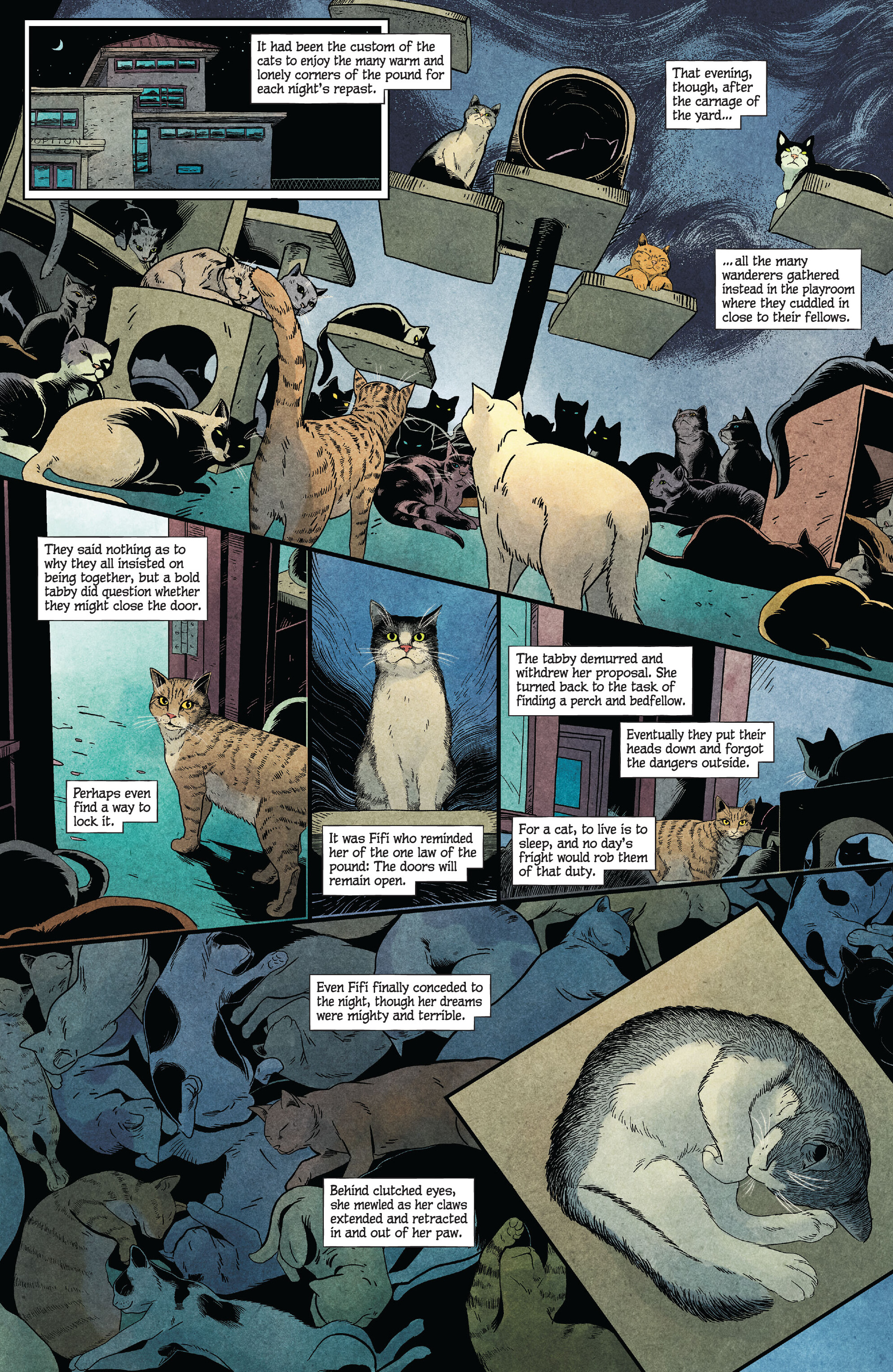 Animal Pound (2023-) issue 2 - Page 8