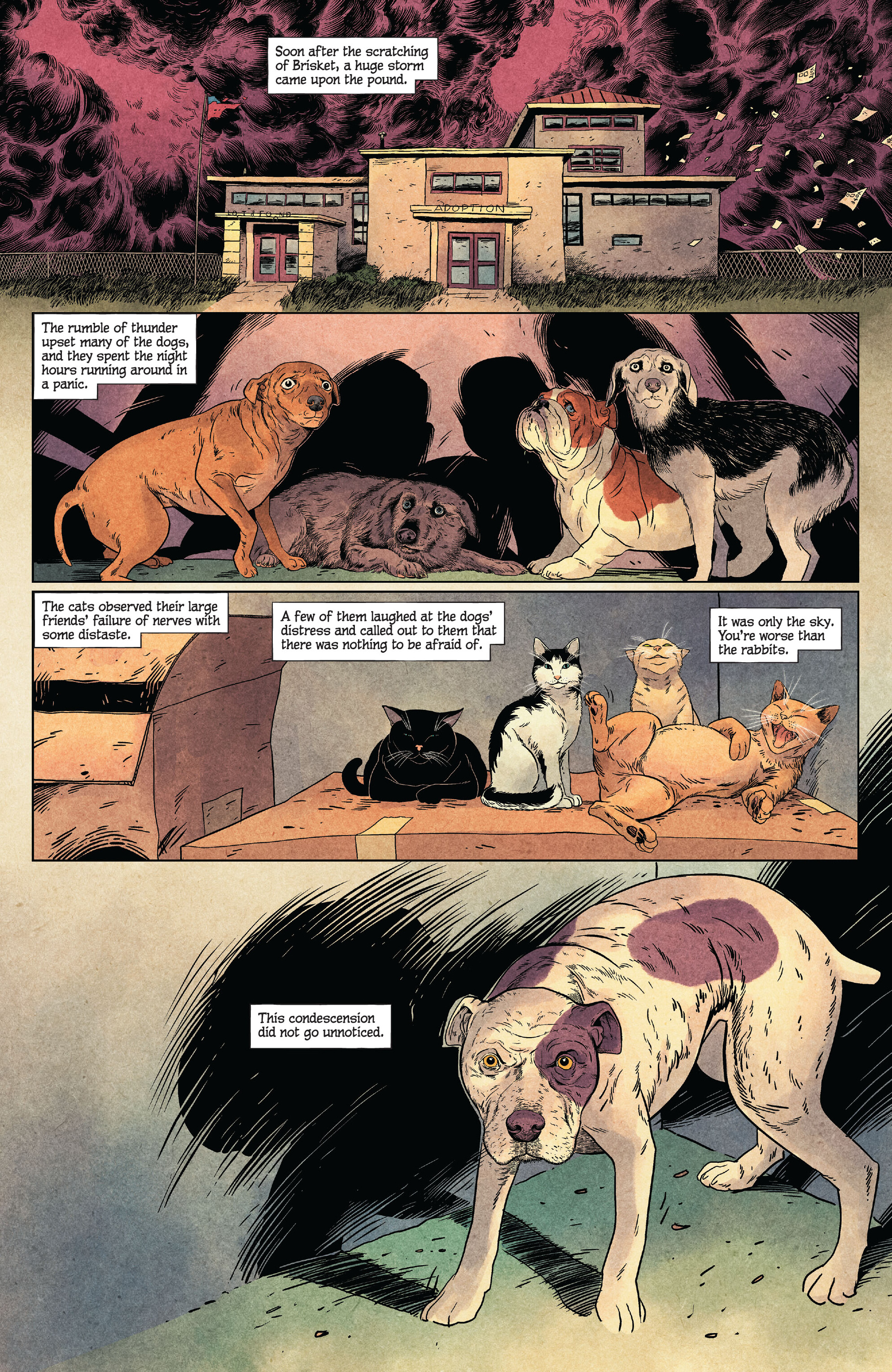 Animal Pound (2023-) issue 3 - Page 23