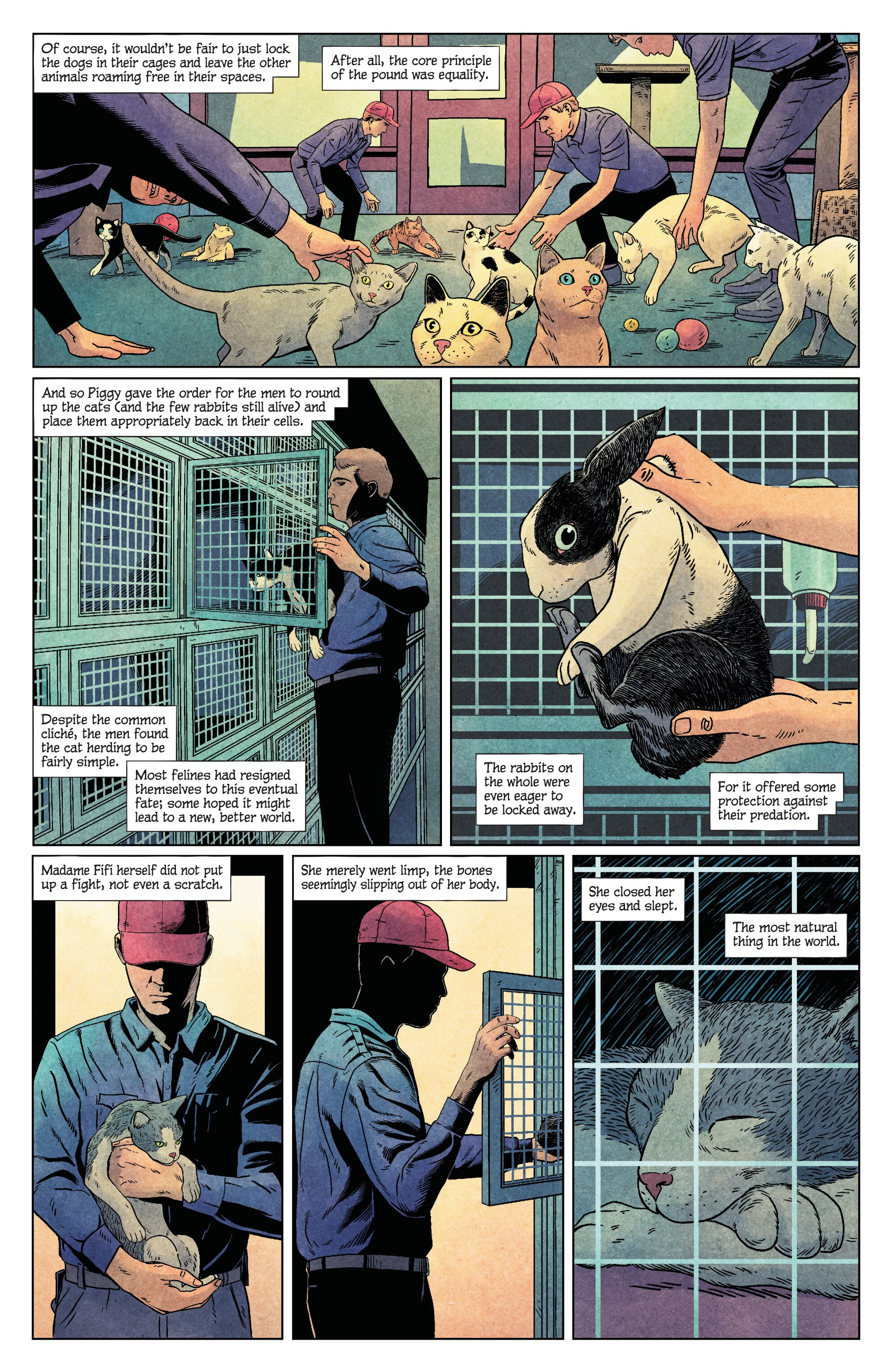 Animal Pound (2023-) issue 5 - Page 26