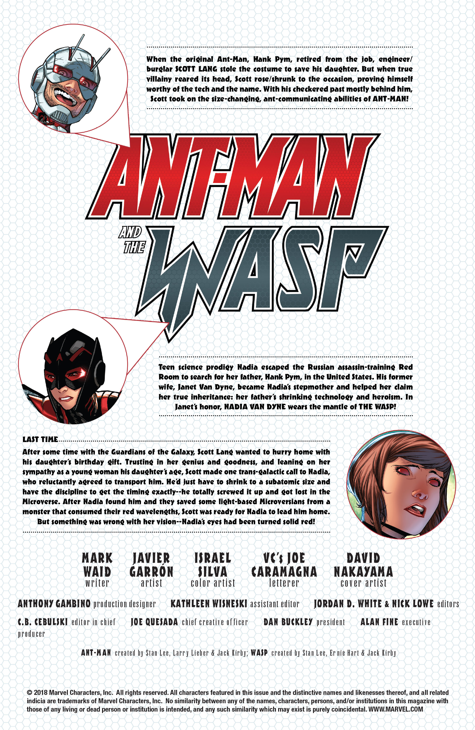 Ant-Man & The Wasp (2018): Chapter 2 - Page 2
