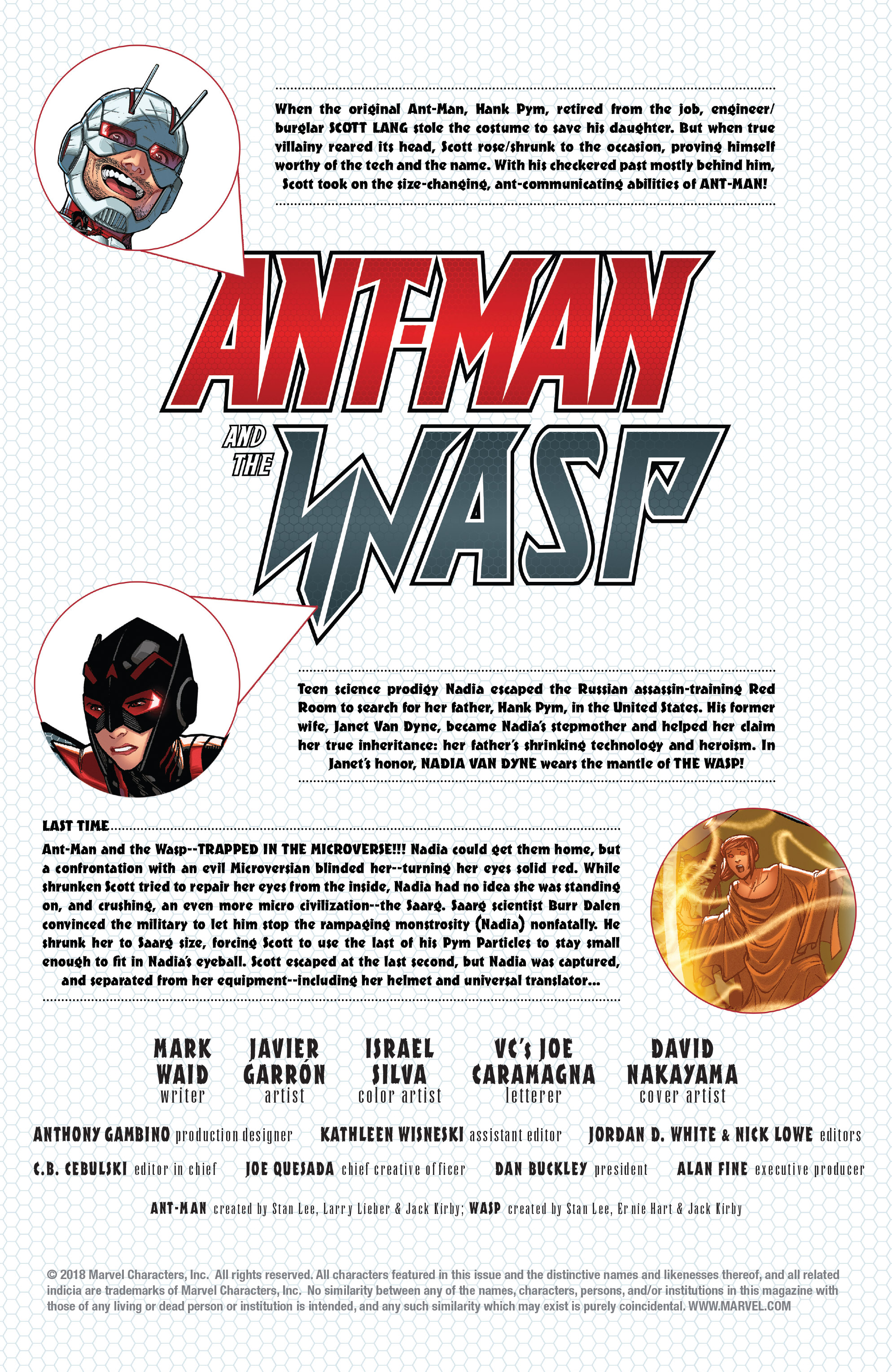 Ant-Man & The Wasp (2018): Chapter 3 - Page 2