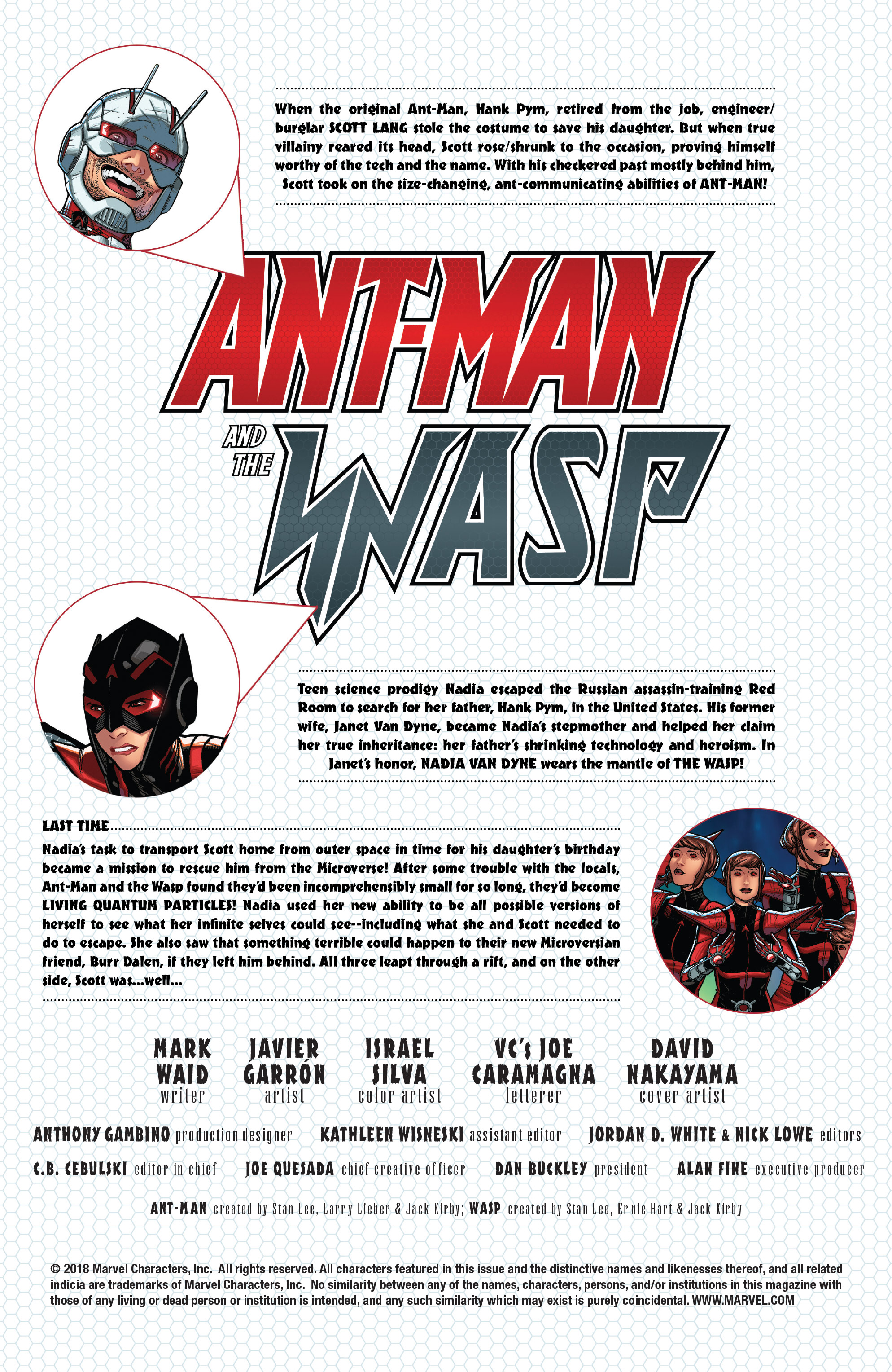 Ant-Man & The Wasp (2018): Chapter 4 - Page 2