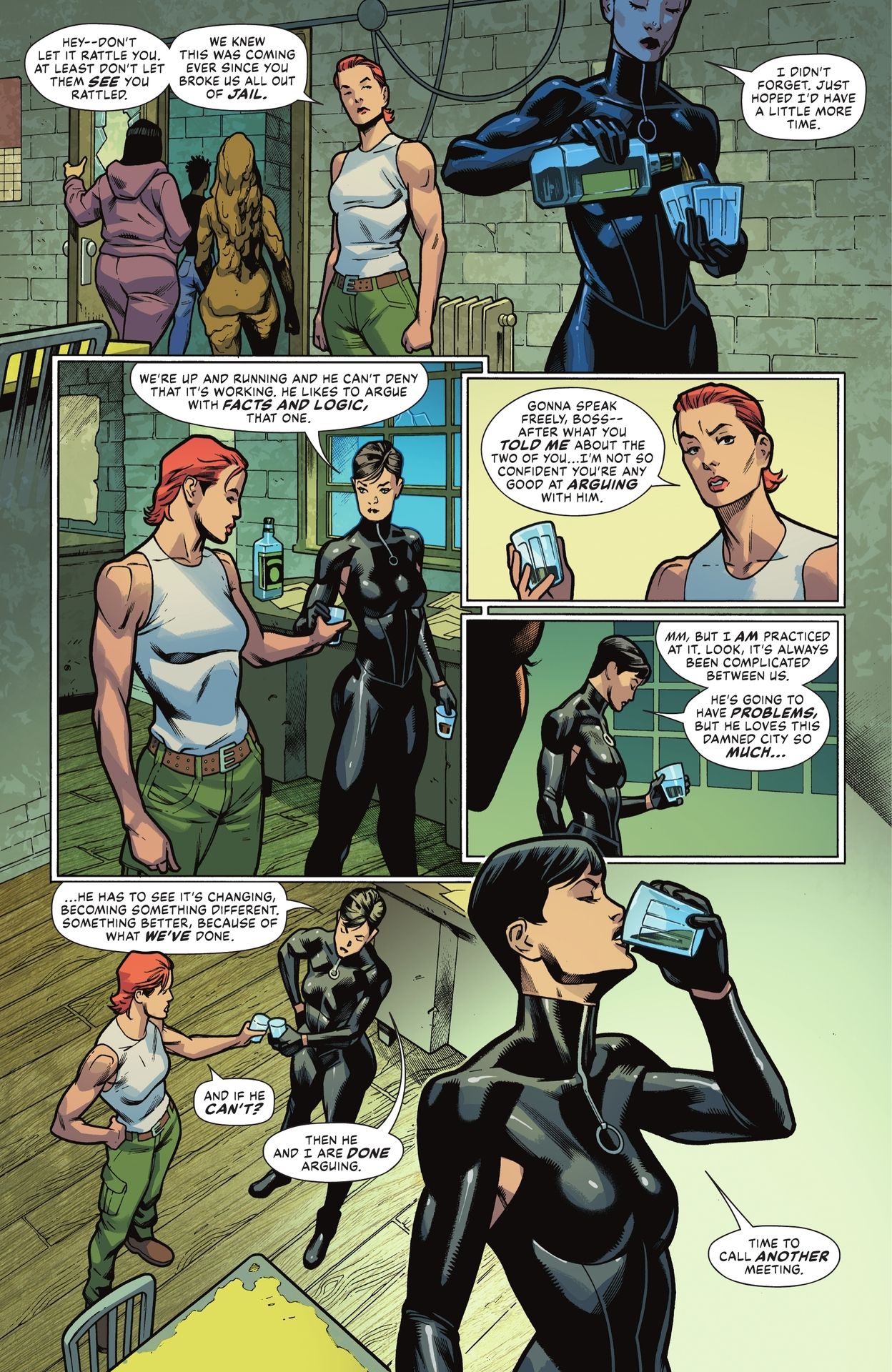 Batman / Catwoman: The Gotham War - Battle Lines (2023-) issue 1 - Page 17