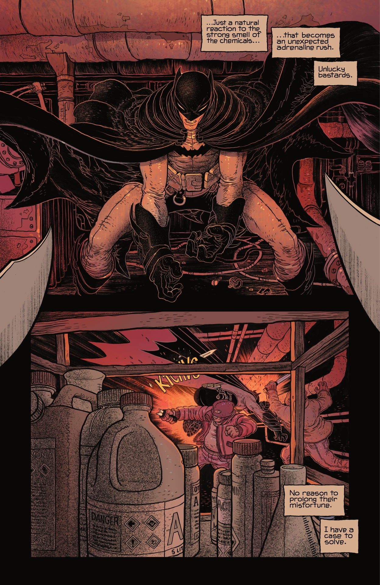 Batman: Gargoyle of Gotham (2023-) issue 1 - Page 13