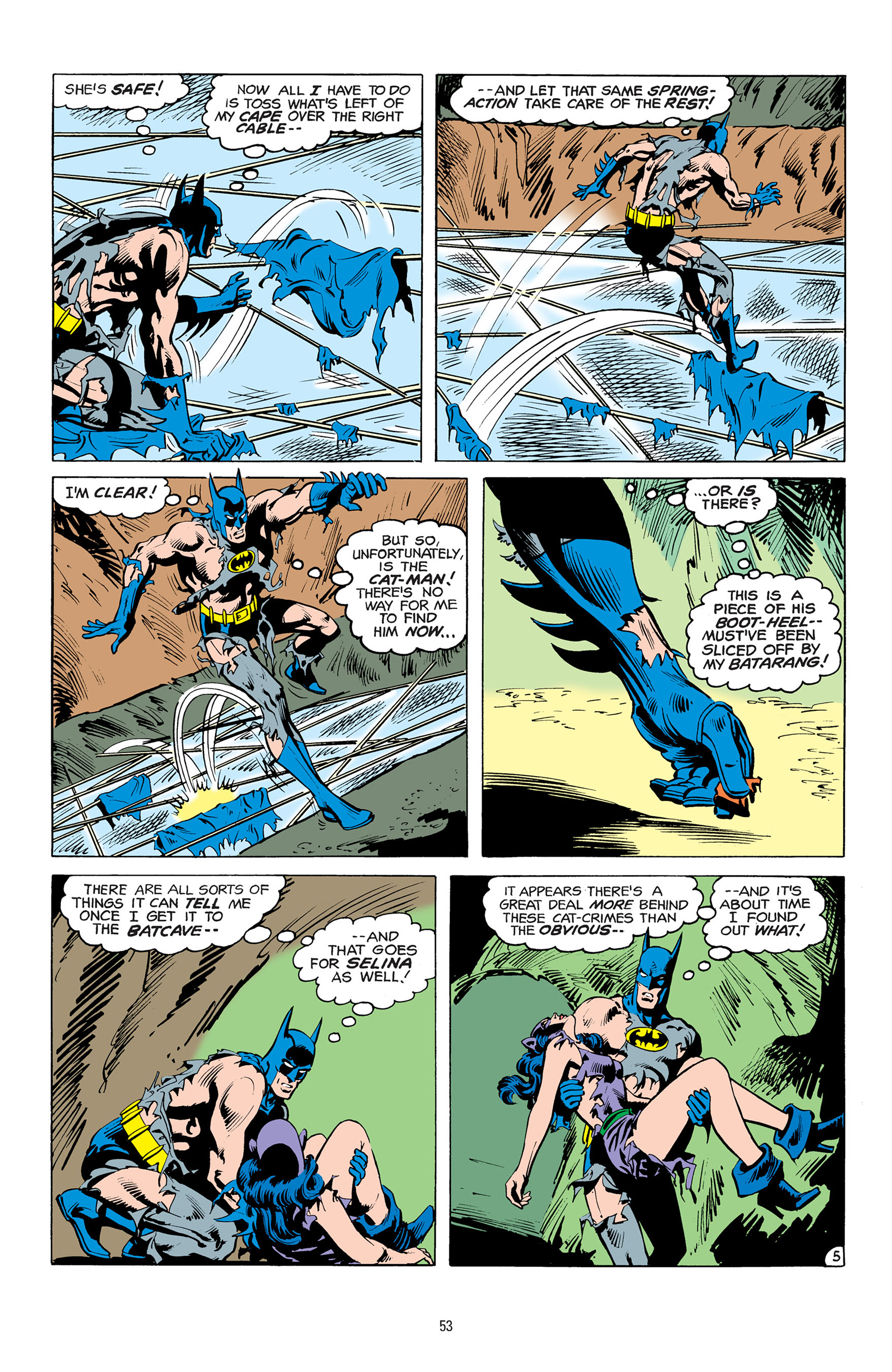 Batman: The Bat and the Cat: 80 Years of Romance (2020) issue 1 (New) - Page 53