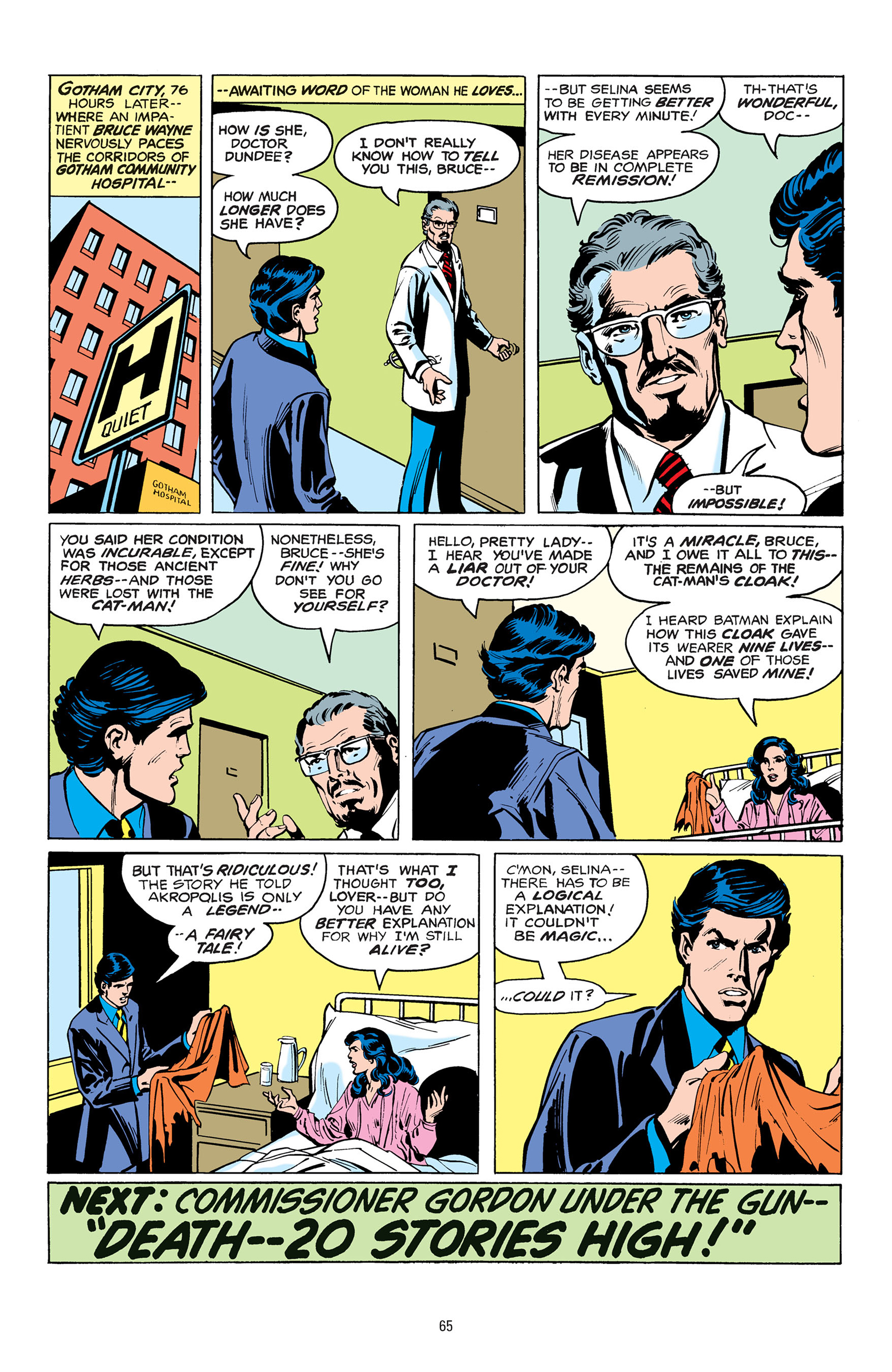 Batman: The Bat and the Cat: 80 Years of Romance (2020) issue 1 (New) - Page 65