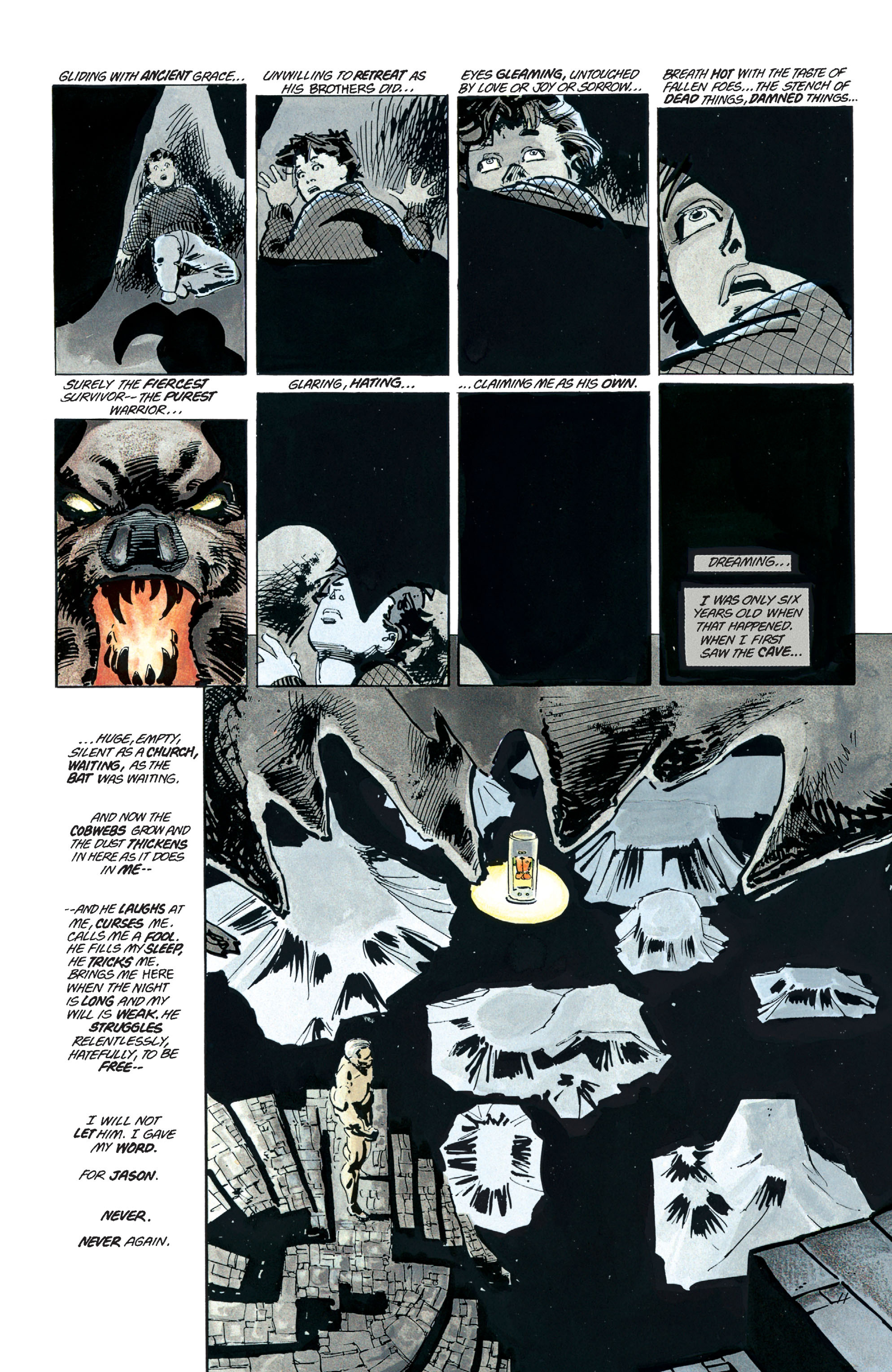 Batman: The Dark Knight Returns - 30th Anniversary Edition (2019) issue 1 - Page 19