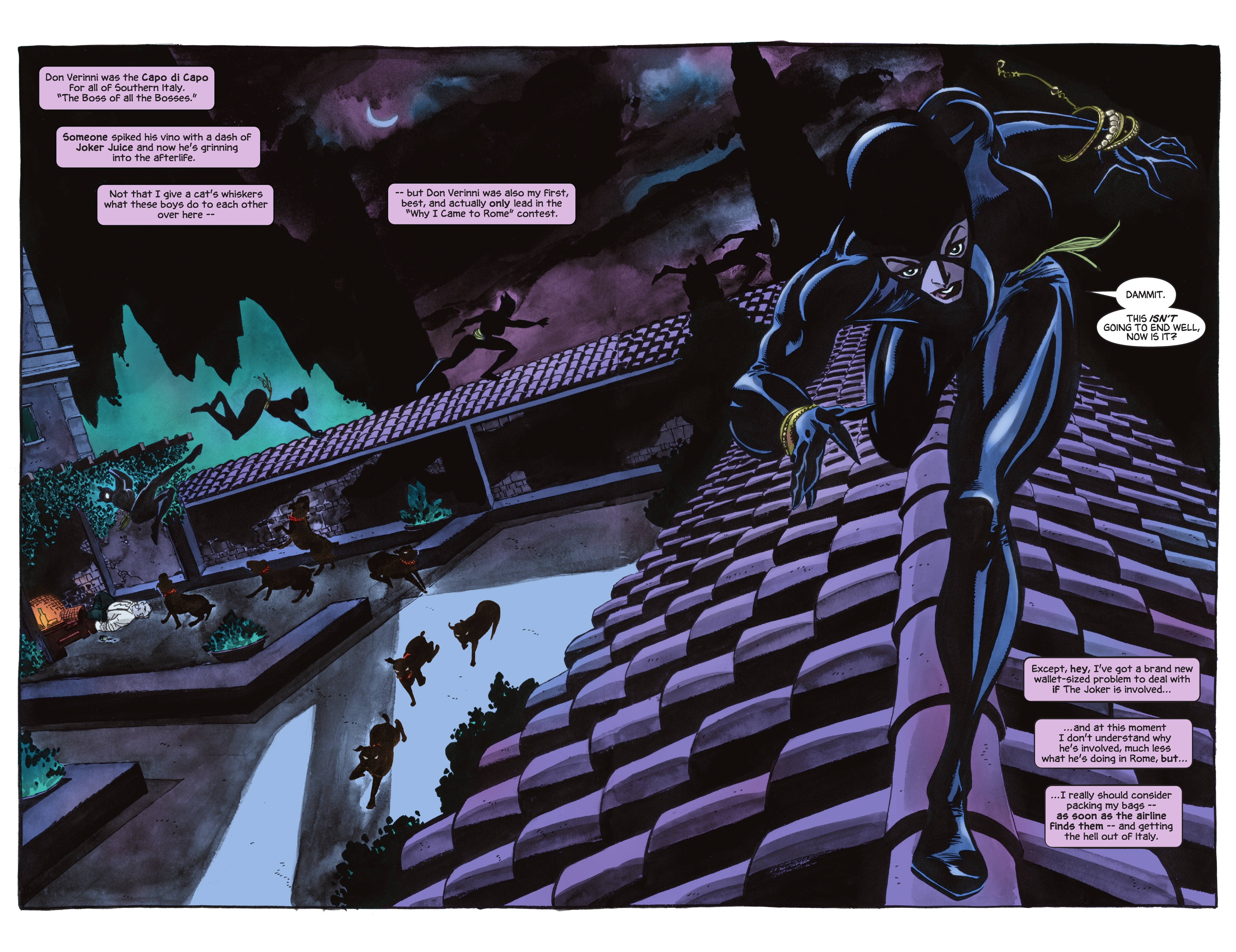 Batman The Long Halloween: Catwoman: When In Rome Deluxe Edition (2022) issue HC - Page 33