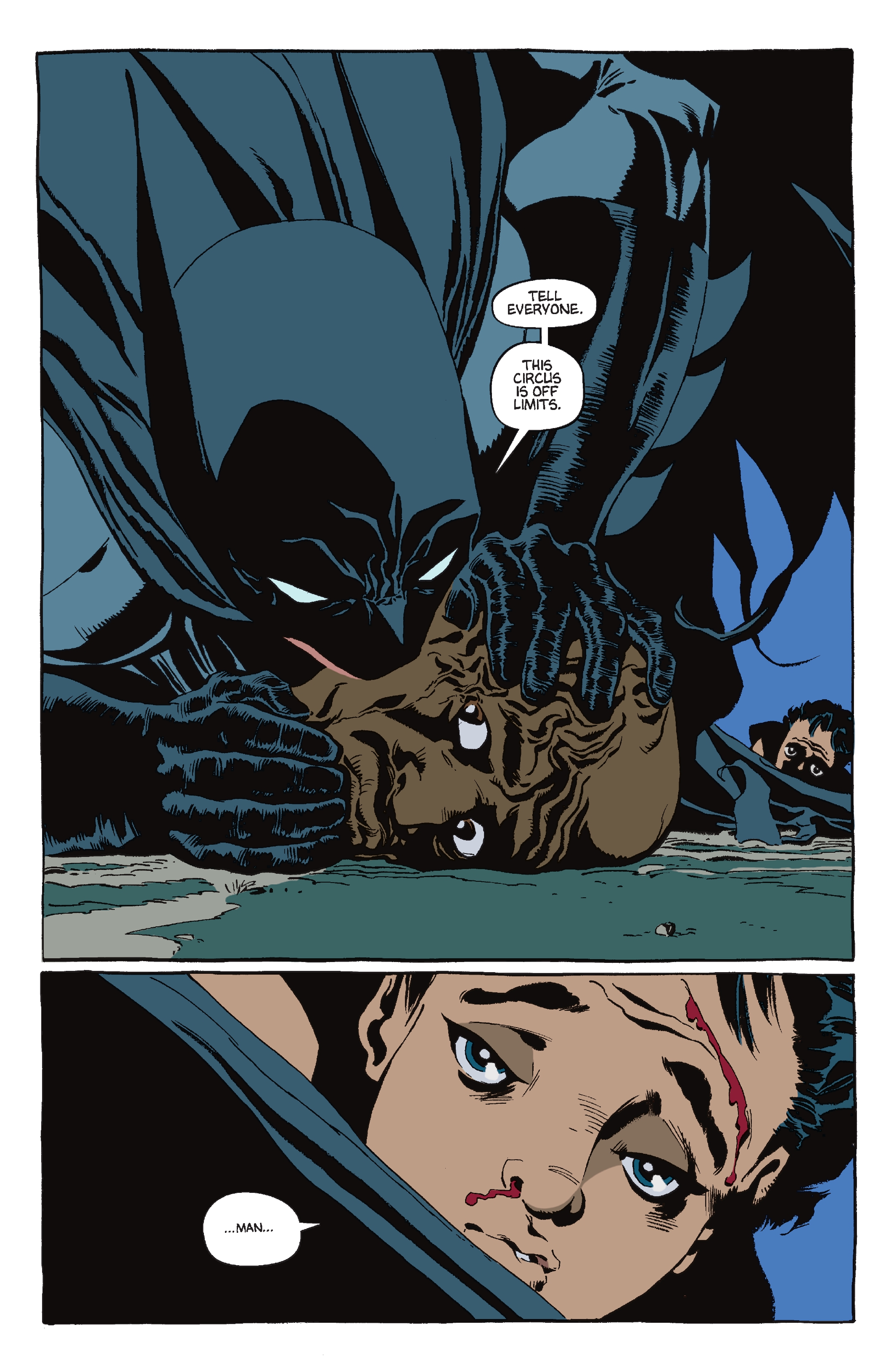 Batman The Long Halloween Deluxe Edition The Sequel: Dark Victory (2022) issue HC - Page 269