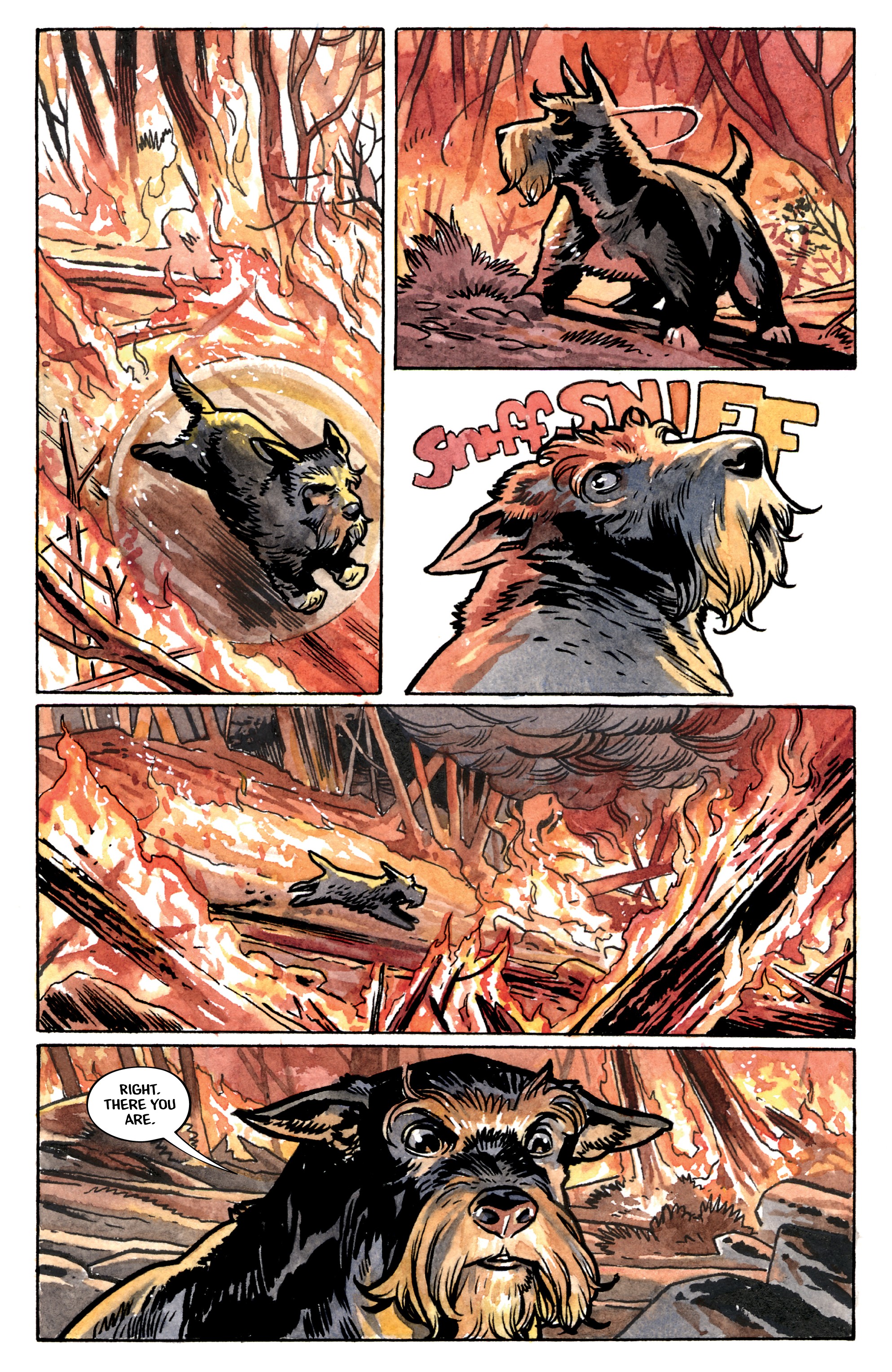 Beasts of Burden: Wise Dogs and Eldritch Men  (2018-) issue 1 - Page 6