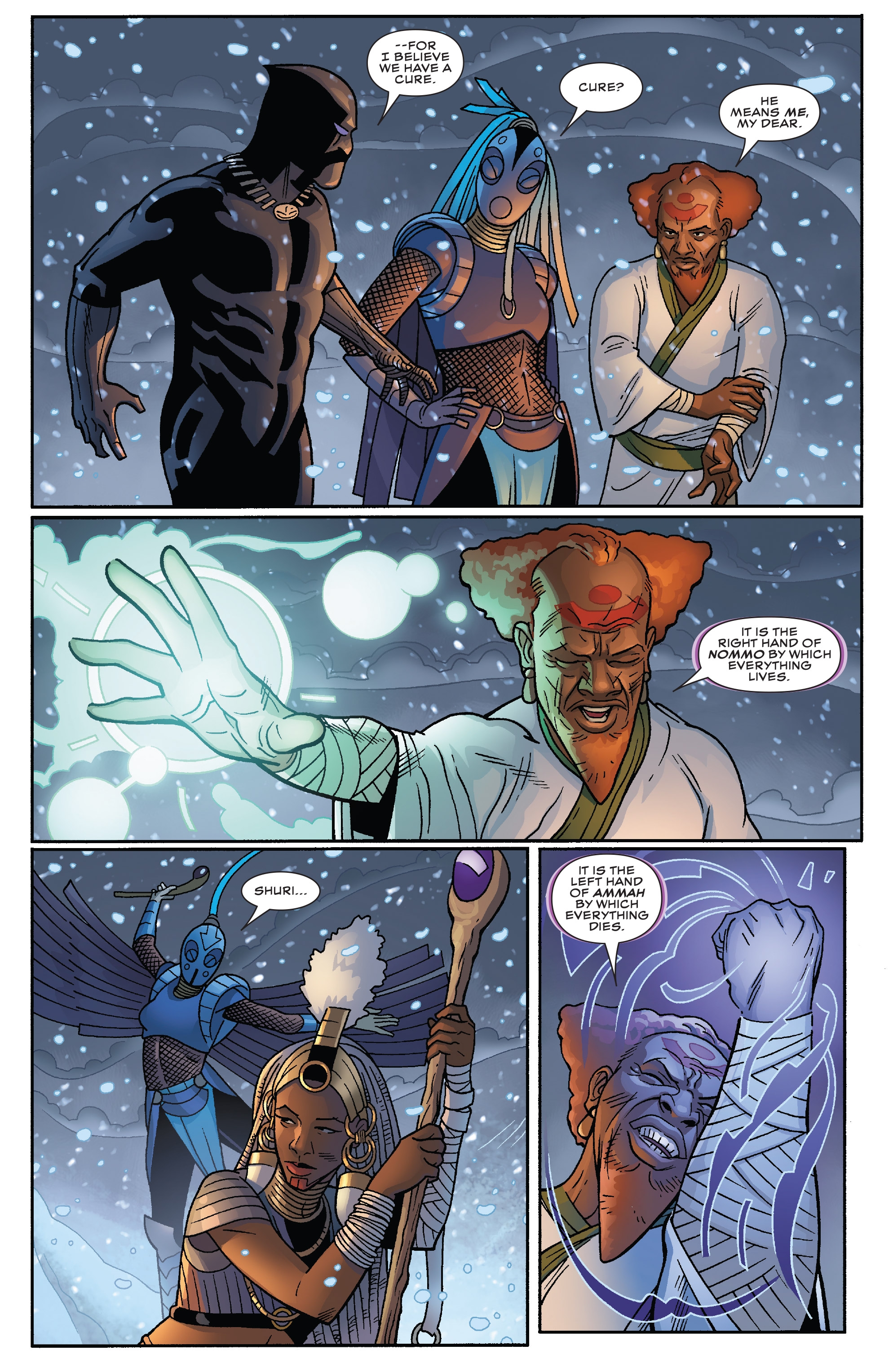 Black Panther (2016-): Chapter 15 - Page 13