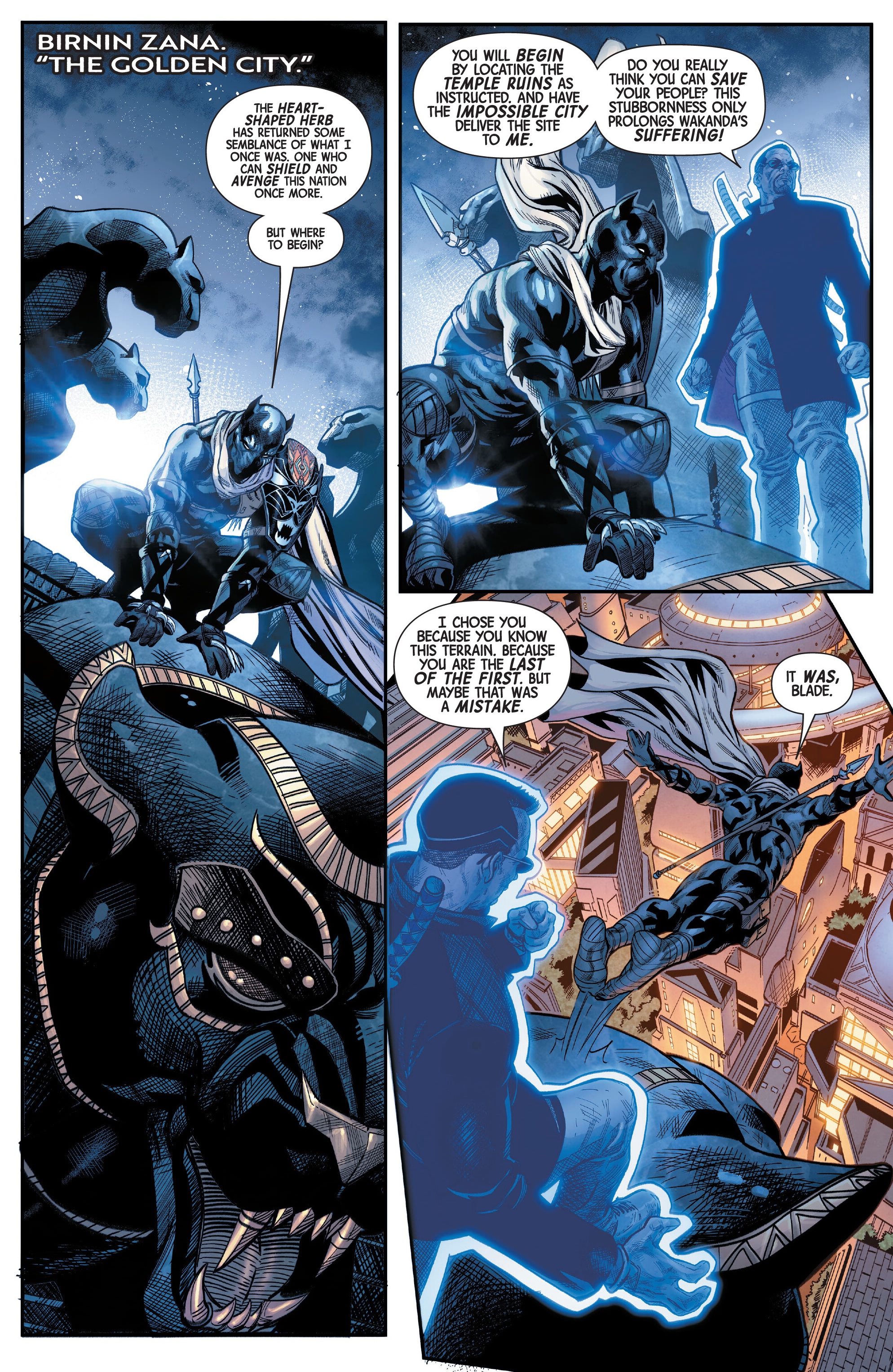 Black Panther: Blood Hunt (2024-) issue 1 - Page 12