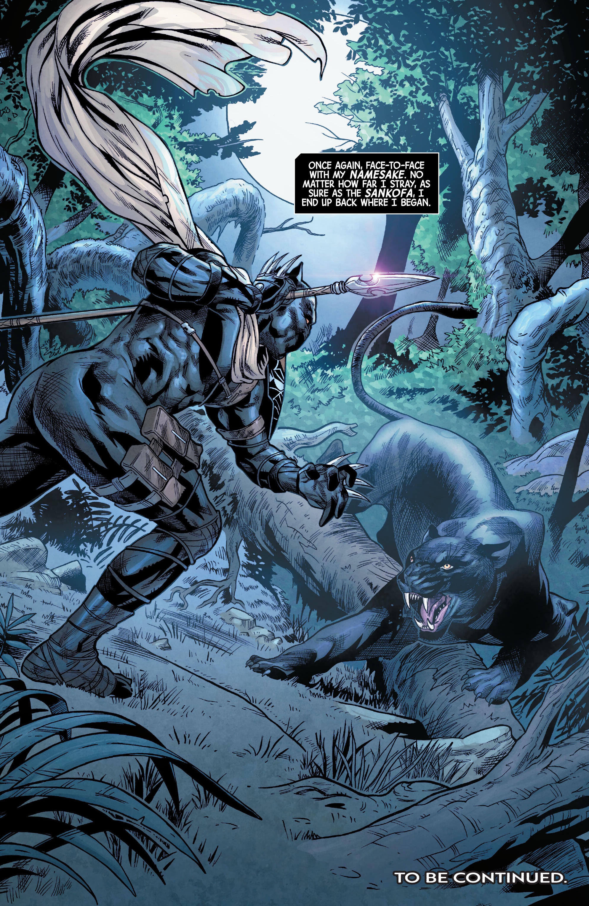 Black Panther: Blood Hunt (2024-) issue 1 - Page 30