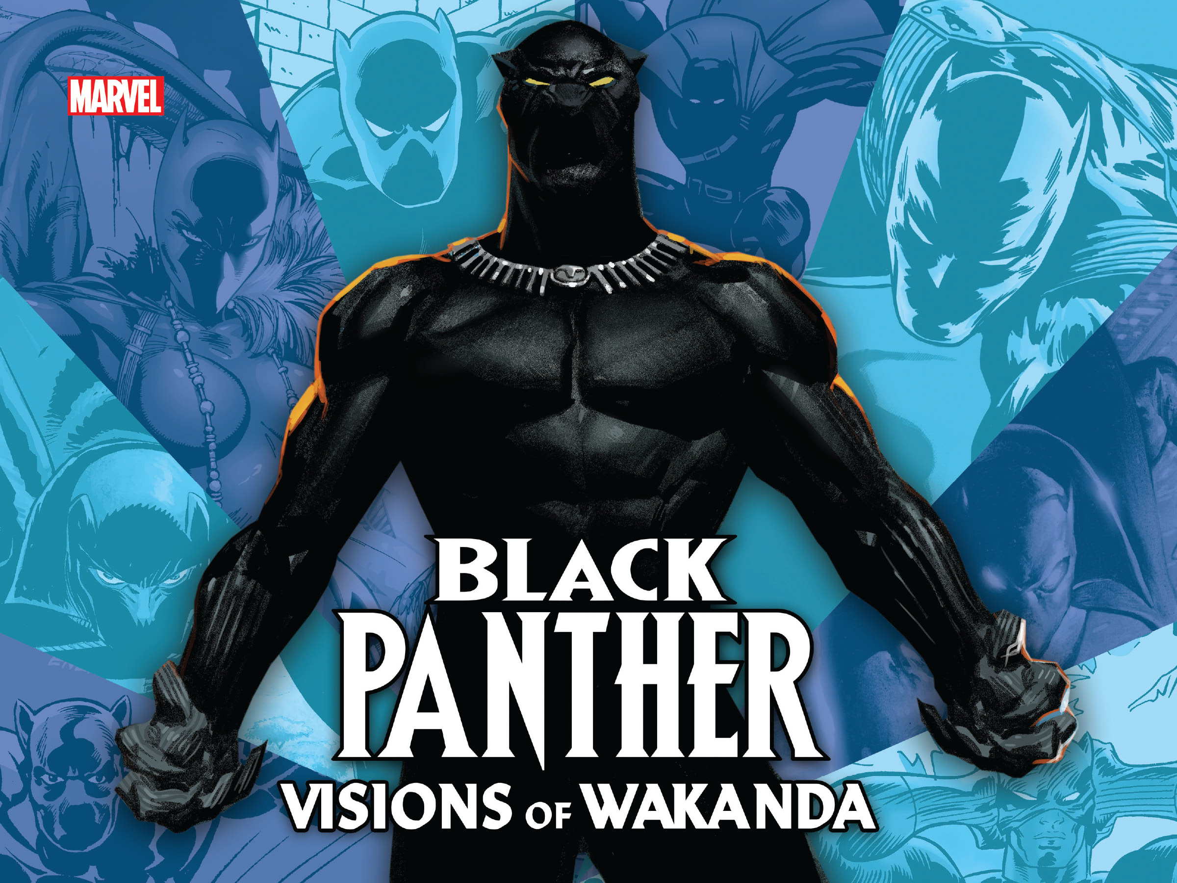 Black Panther: Visions Of Wakanda: Chapter 1 - Page 1