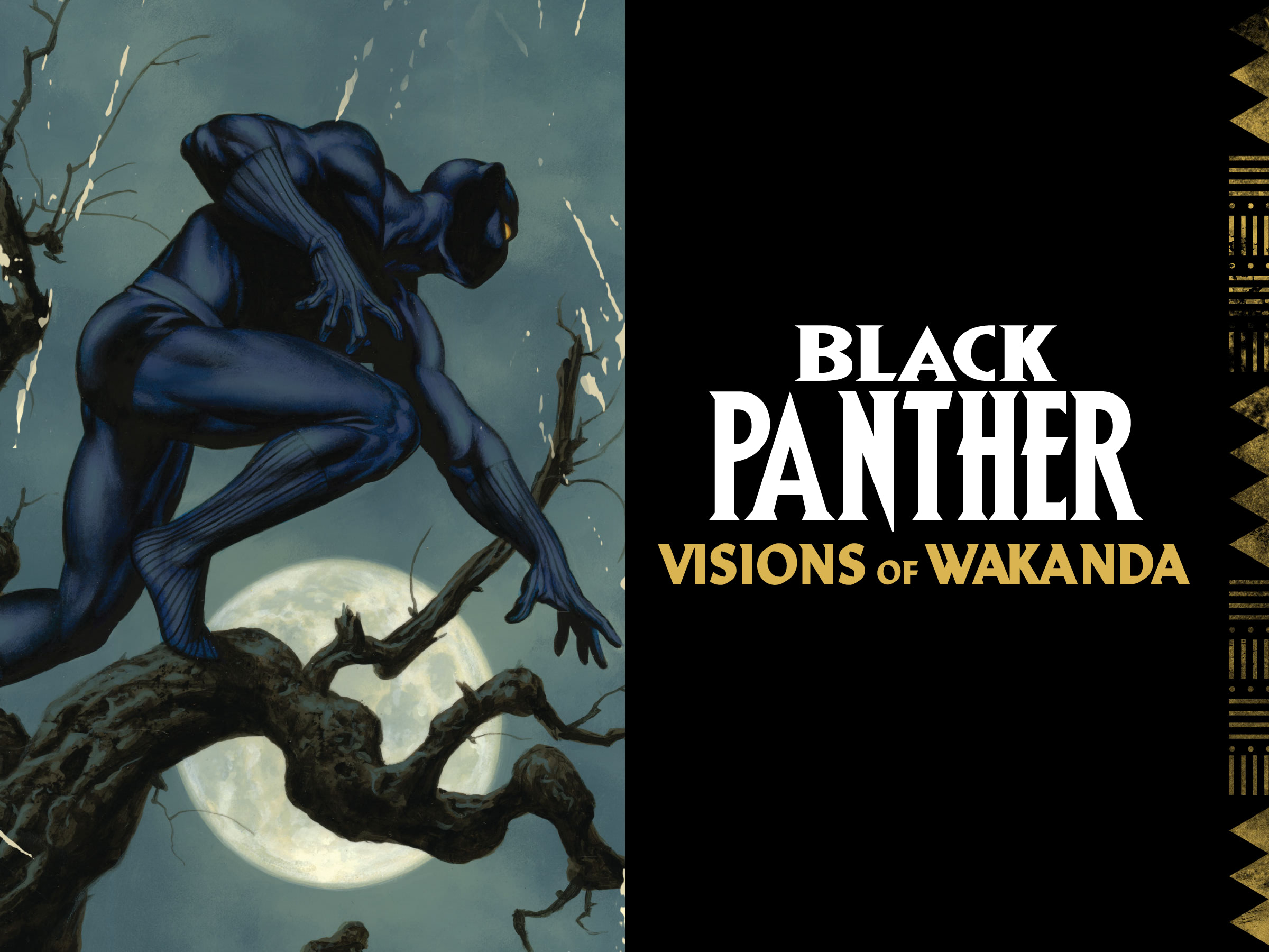 Black Panther: Visions Of Wakanda: Chapter 1 - Page 2