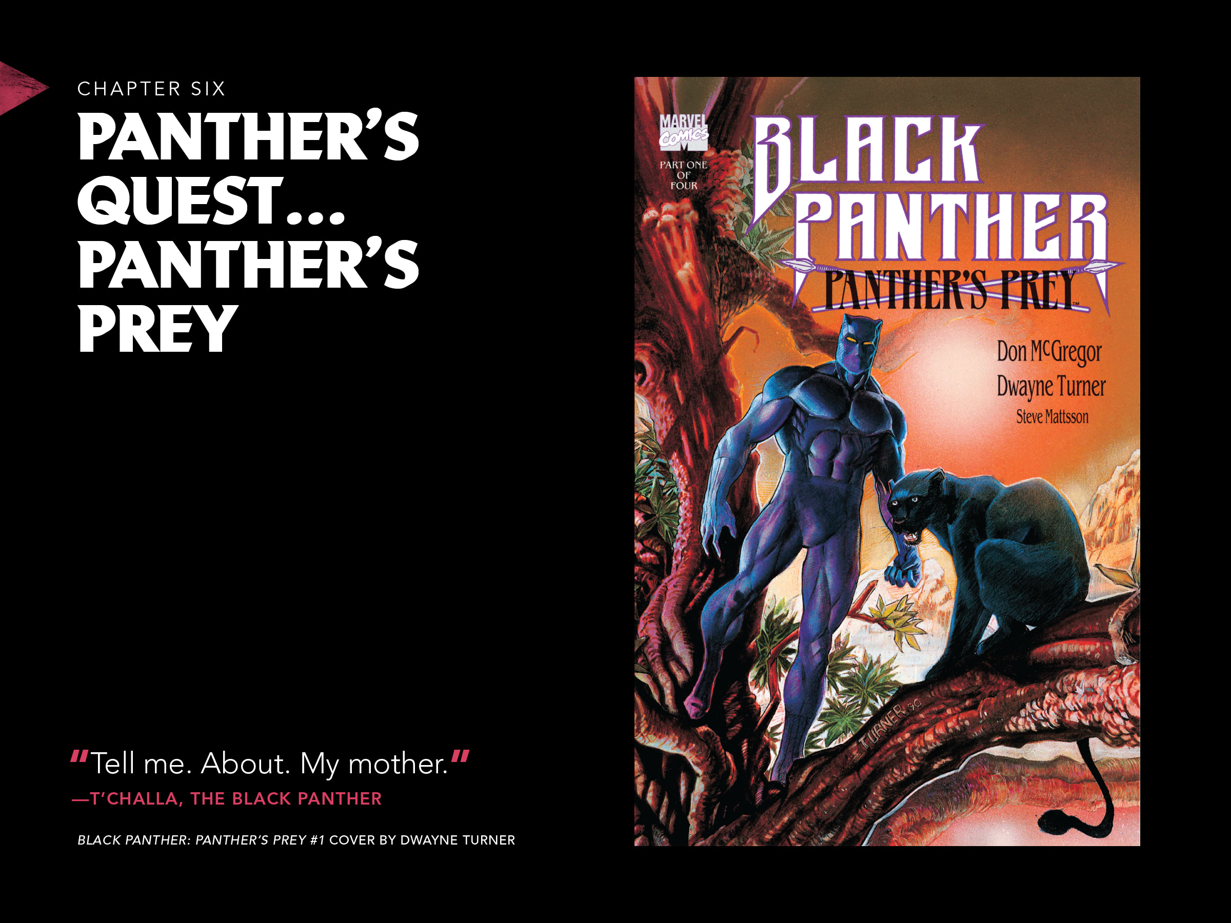 Black Panther: Visions Of Wakanda issue 1 - Page 108