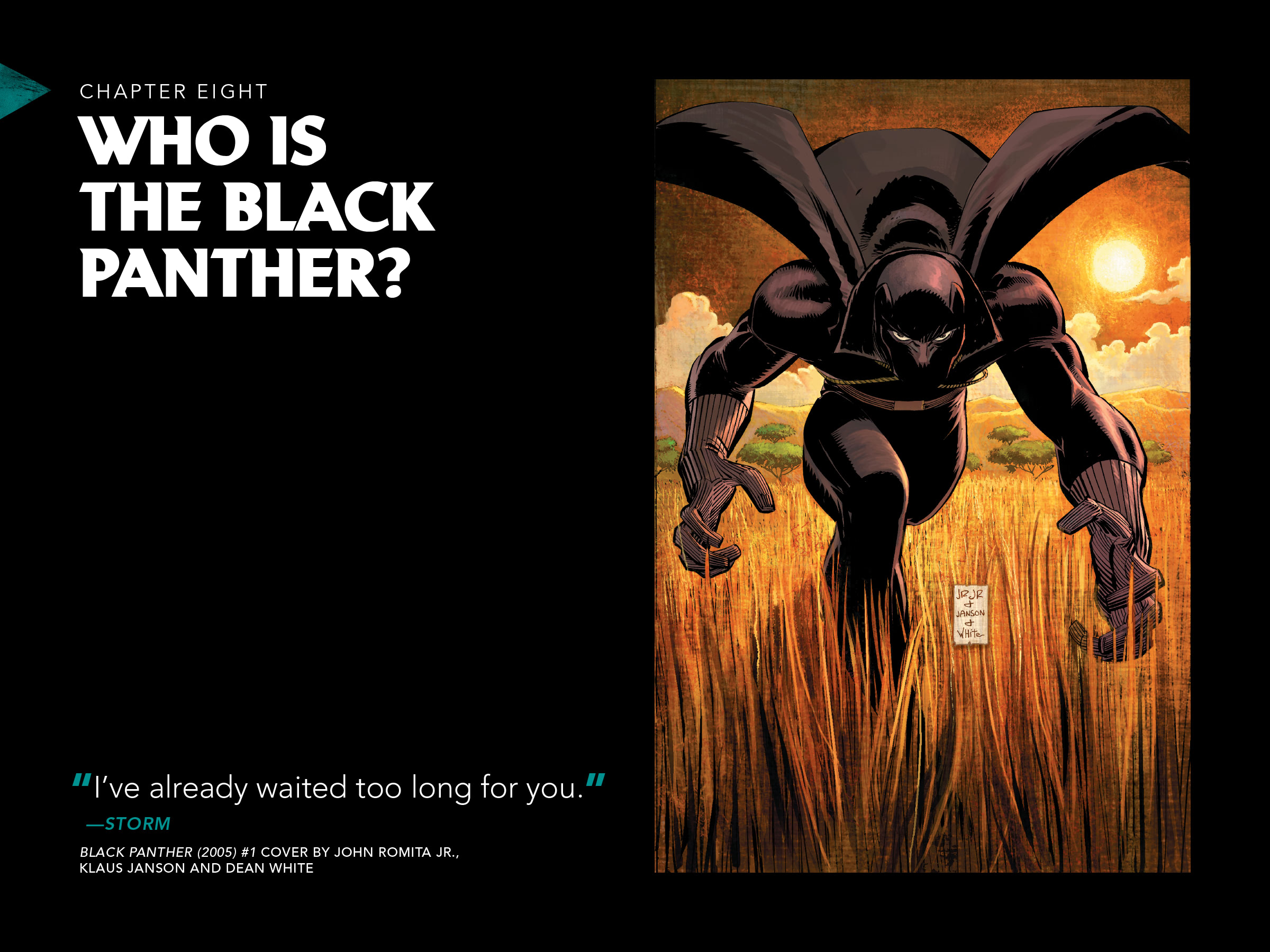 Black Panther: Visions Of Wakanda issue 1 - Page 182