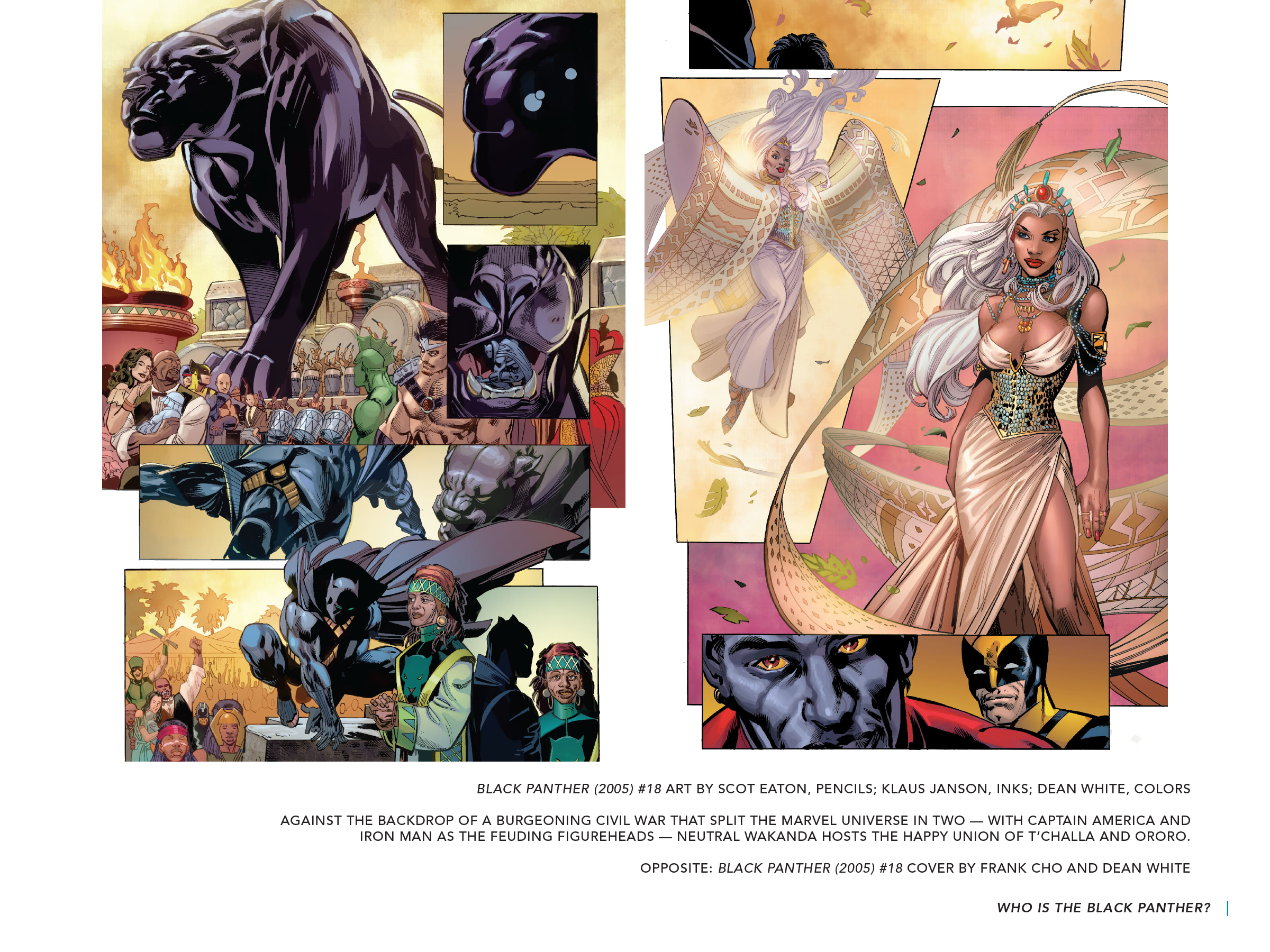 Black Panther: Visions Of Wakanda issue 1 - Page 207