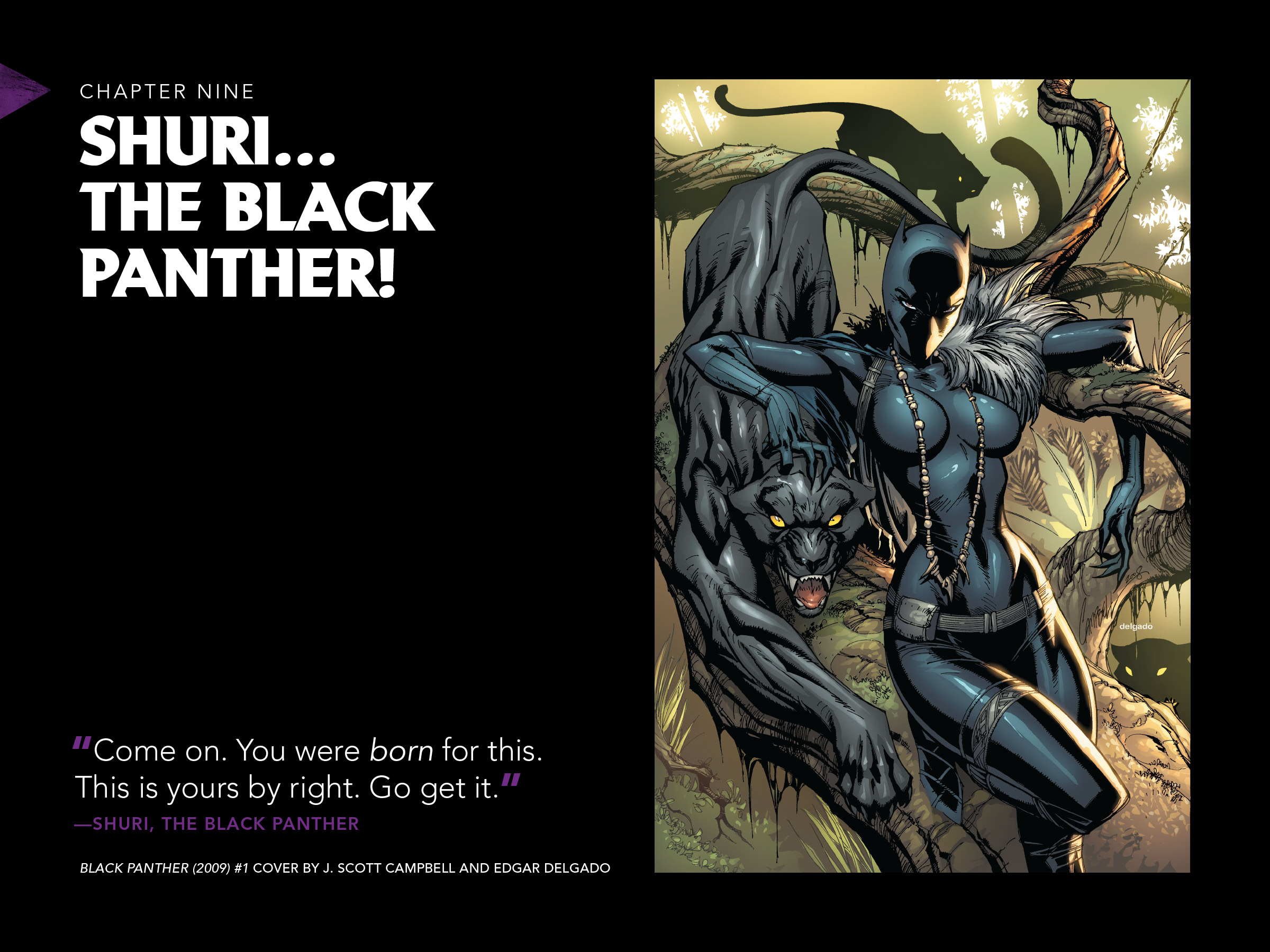 Black Panther: Visions Of Wakanda issue 1 - Page 218