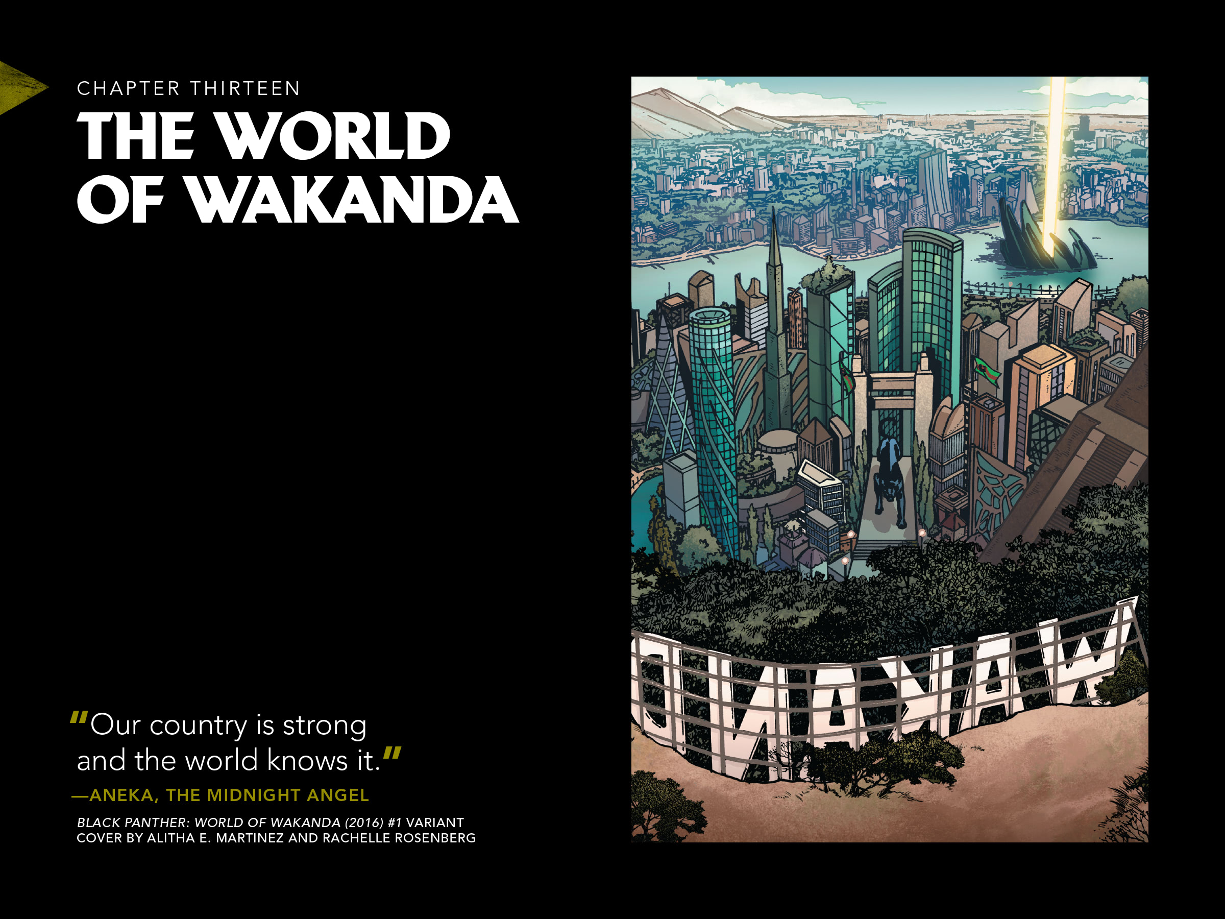 Black Panther: Visions Of Wakanda issue 1 - Page 312