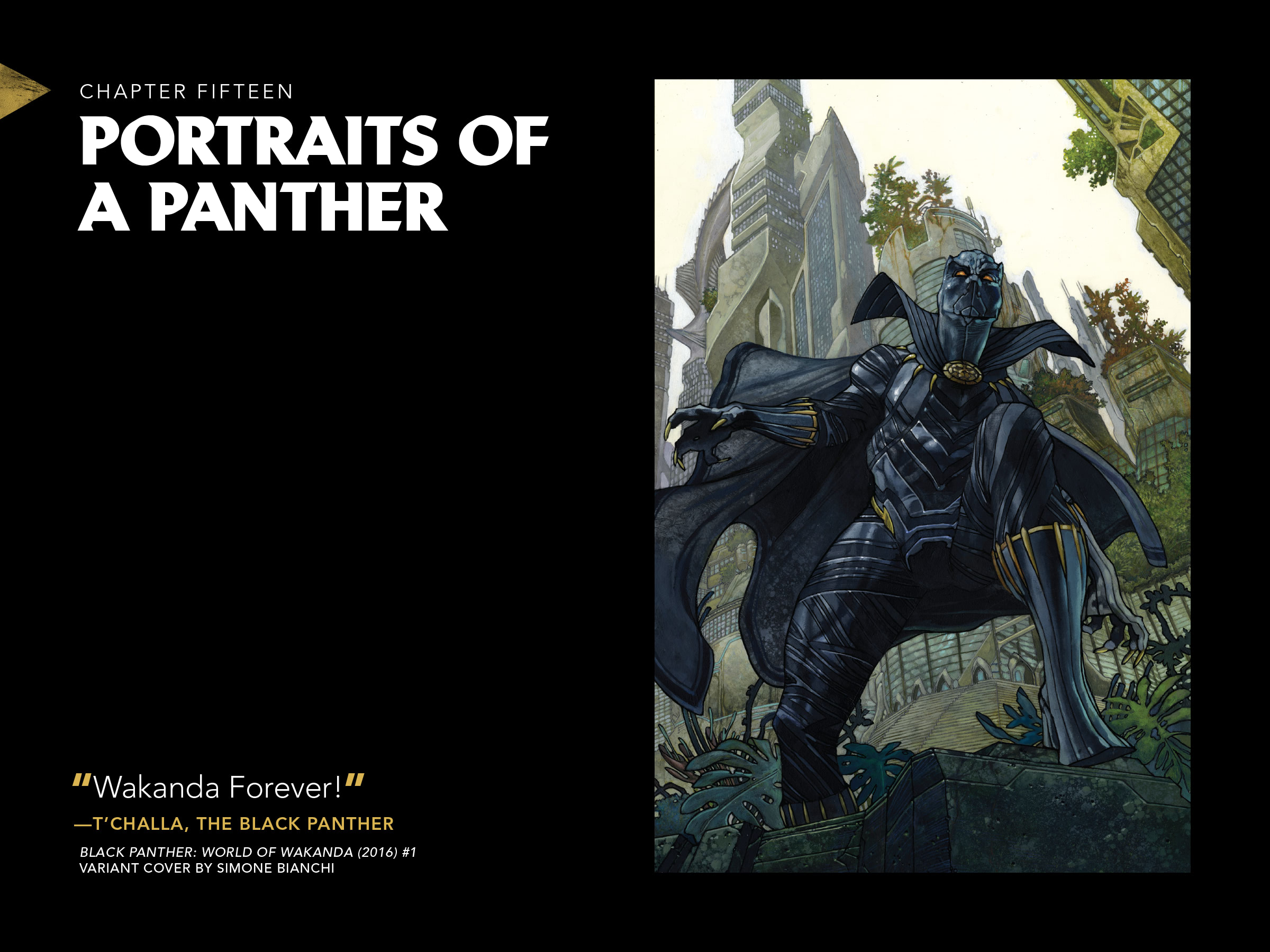 Black Panther: Visions Of Wakanda issue 1 - Page 340