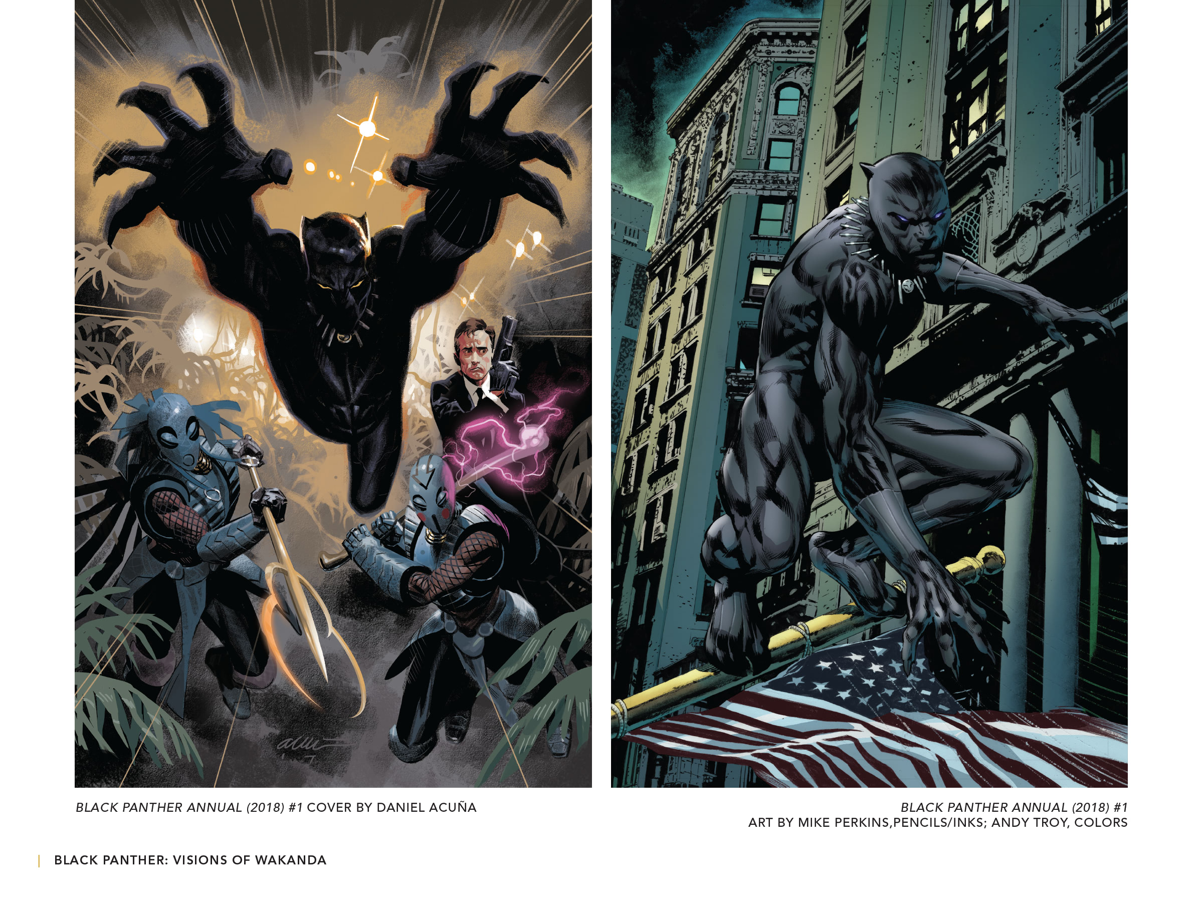 Black Panther: Visions Of Wakanda issue 1 - Page 348