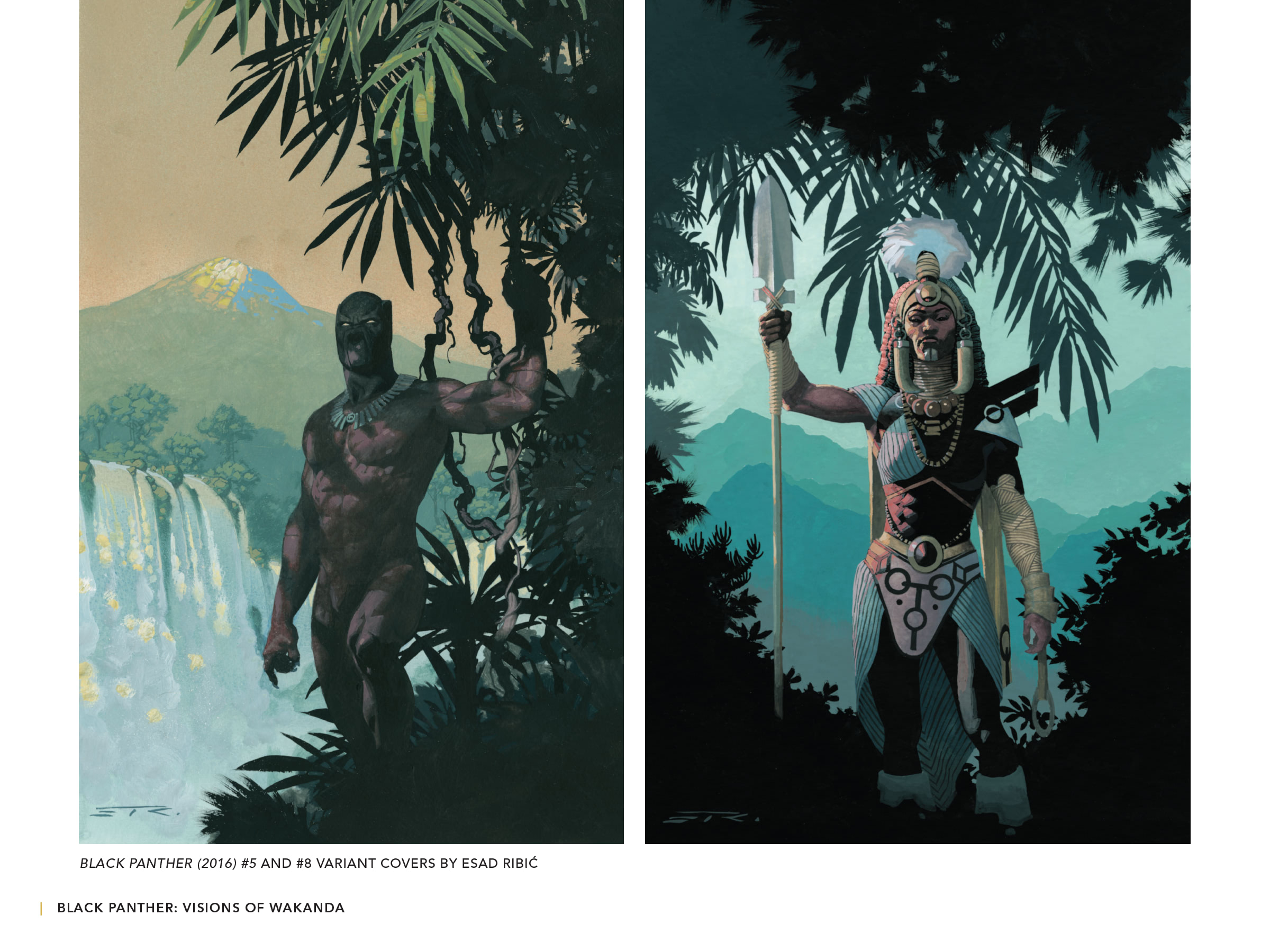 Black Panther: Visions Of Wakanda issue 1 - Page 352