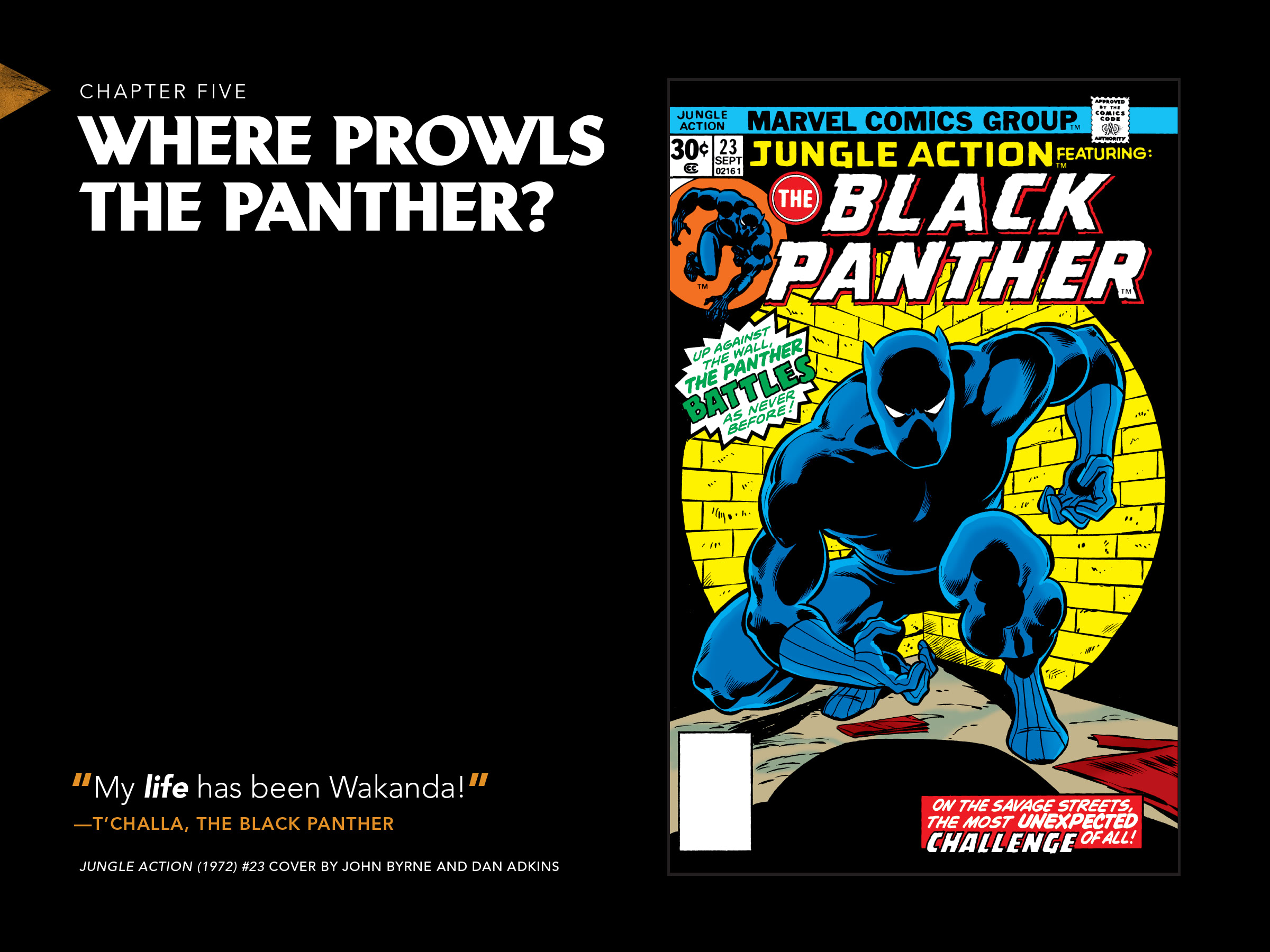 Black Panther: Visions Of Wakanda issue 1 - Page 96