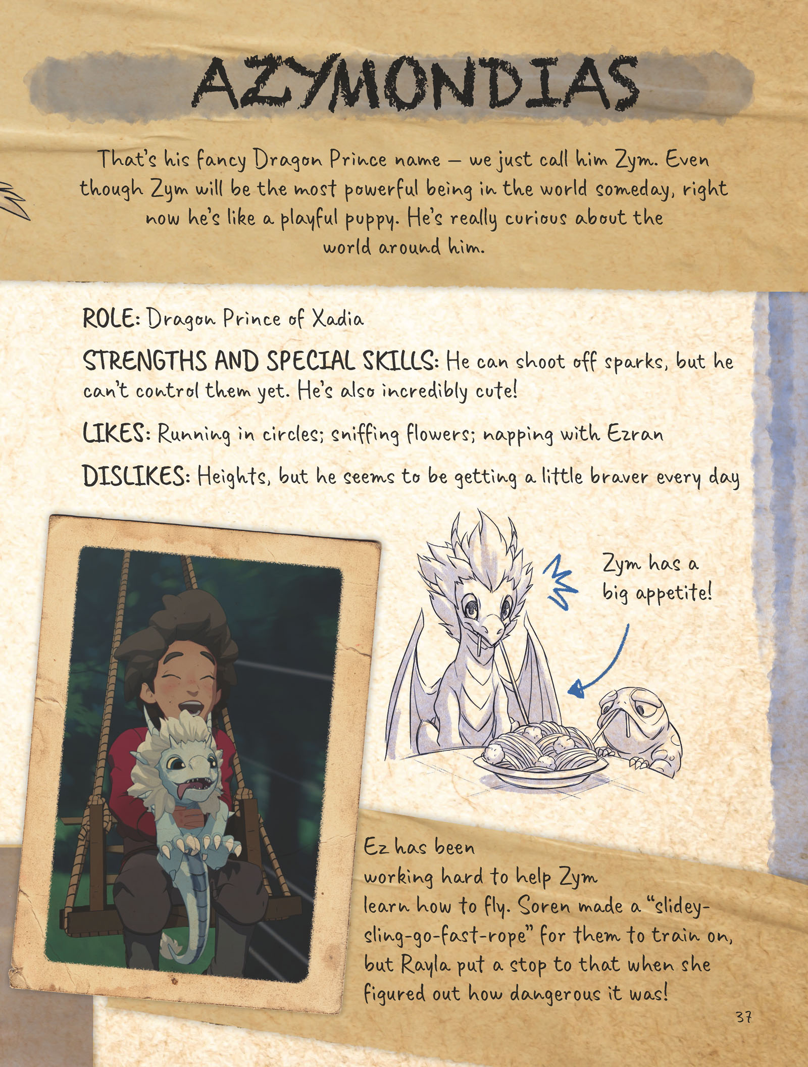 Callum's Spellbook: The Dragon Prince (2020) issue 1 - Page 39