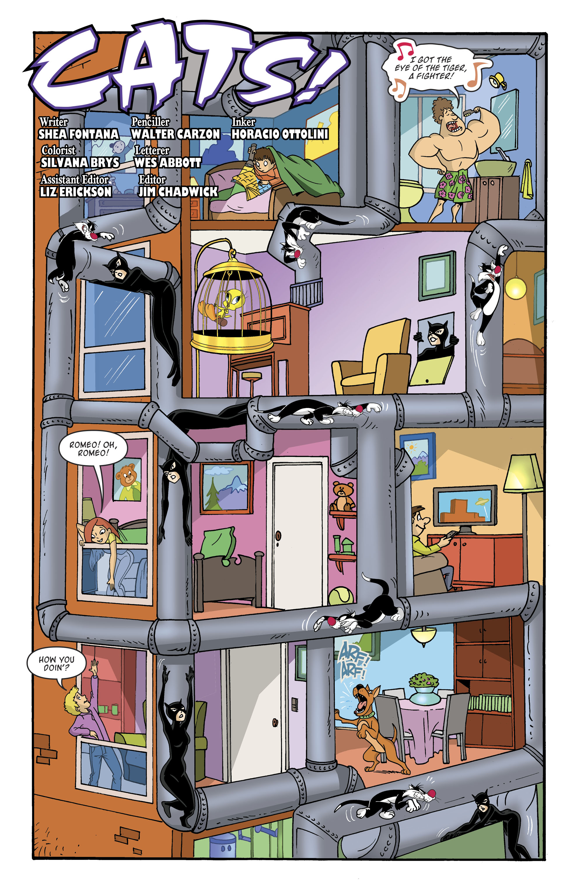 Catwoman/Tweety and Sylvester (2018) issue 1 - Page 33