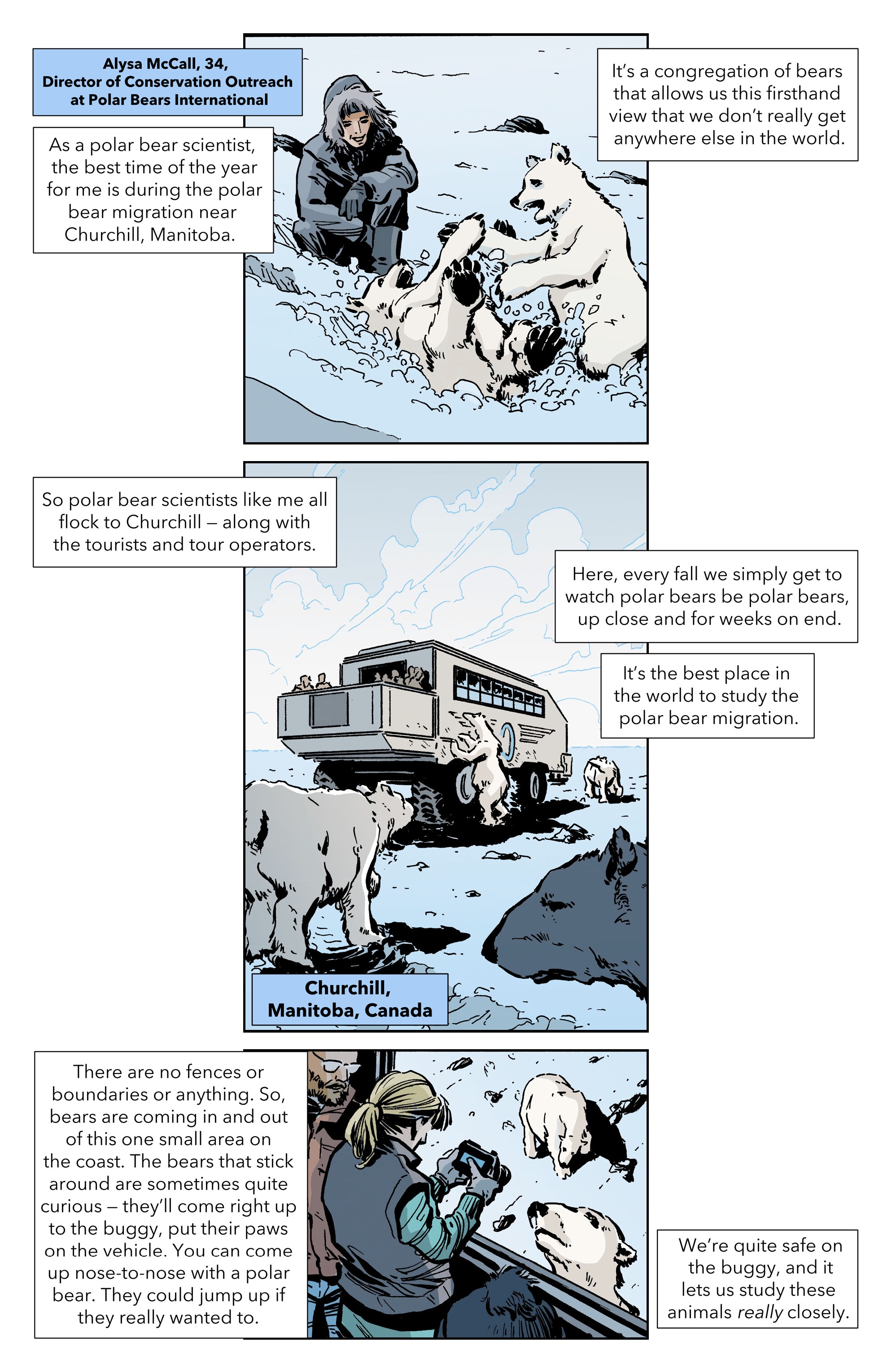 Climate Crisis Chronicles (2023) issue GN - Page 20