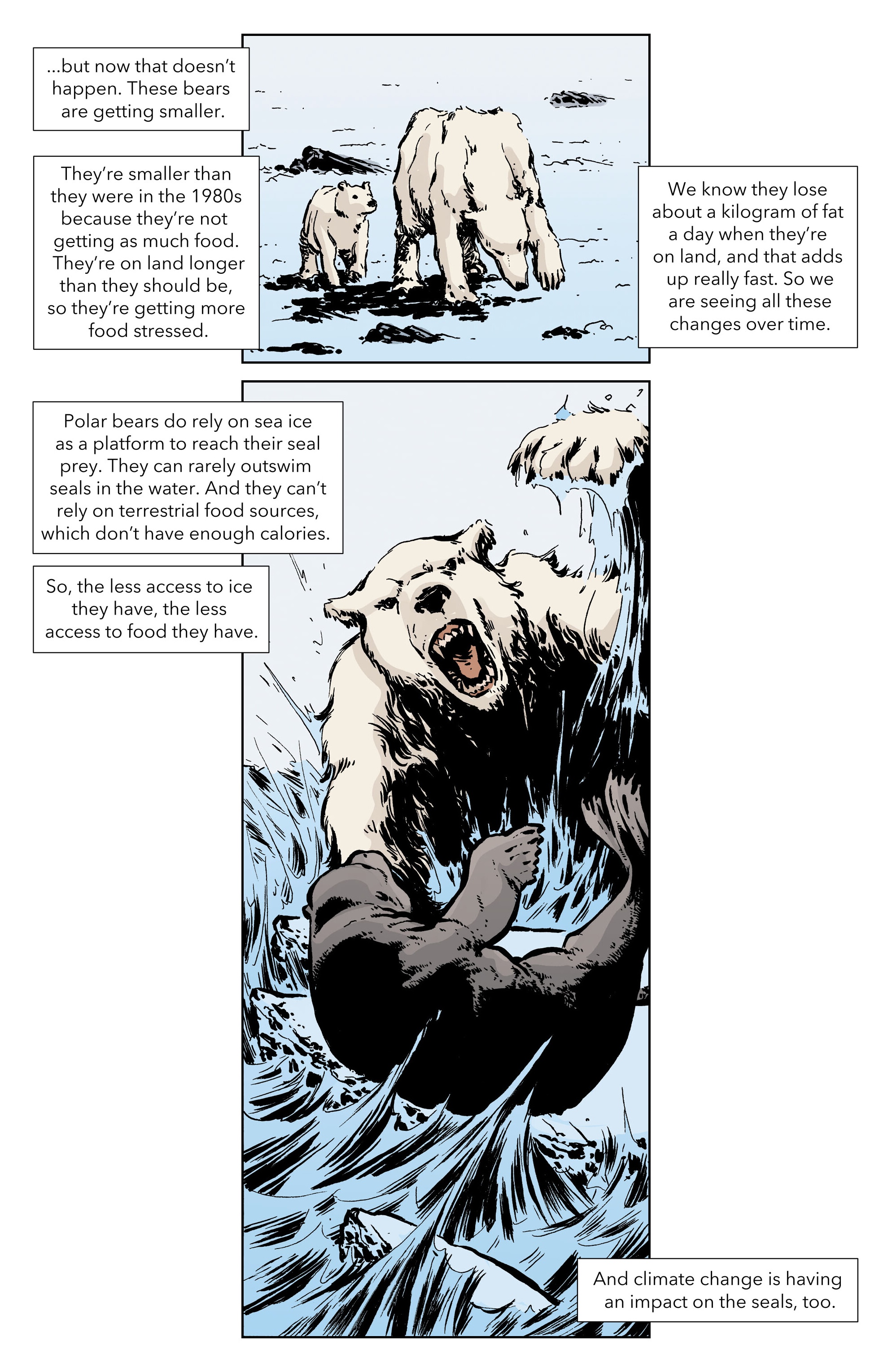 Climate Crisis Chronicles (2023) issue GN - Page 24