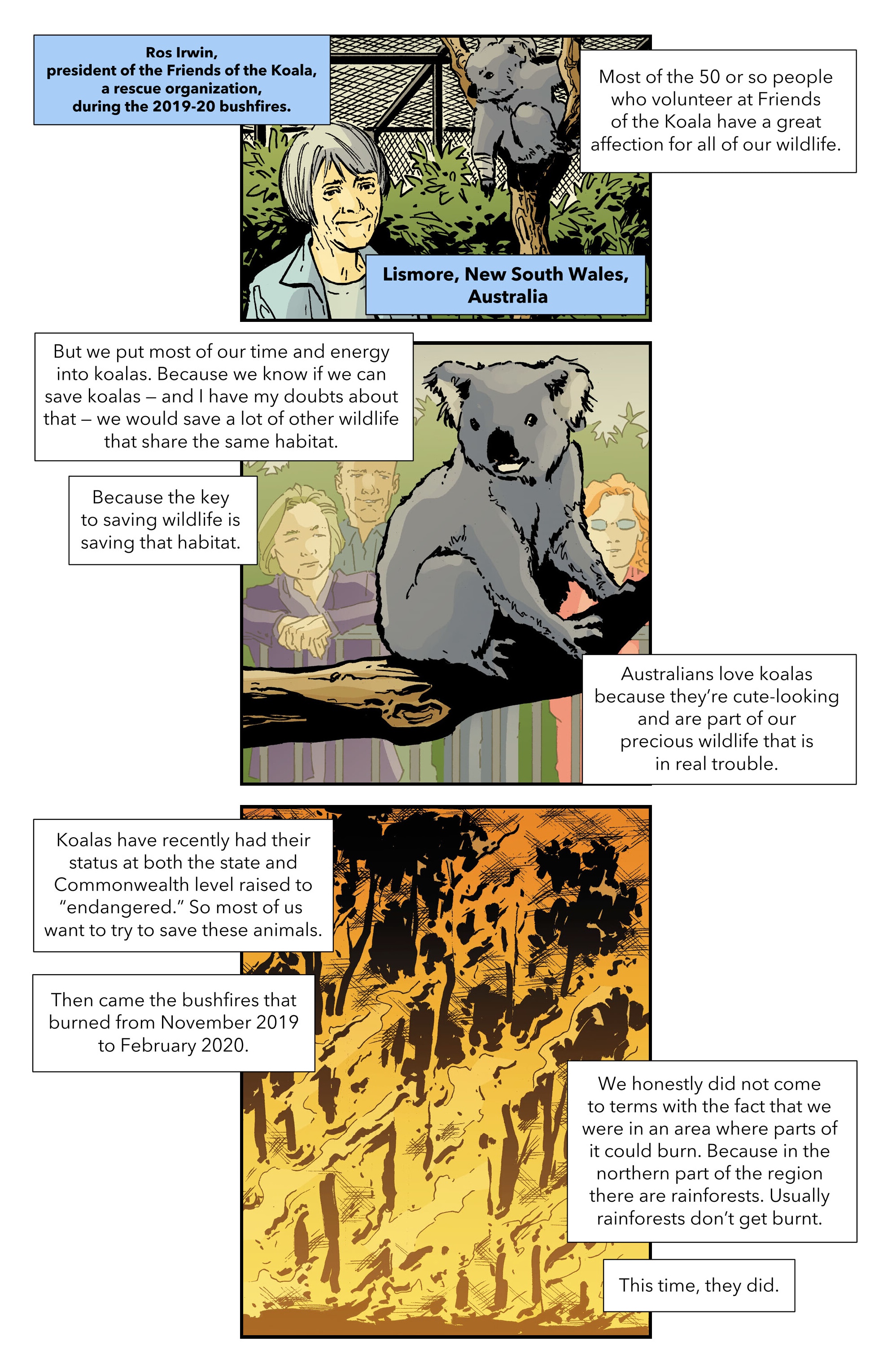 Climate Crisis Chronicles (2023) issue GN - Page 46