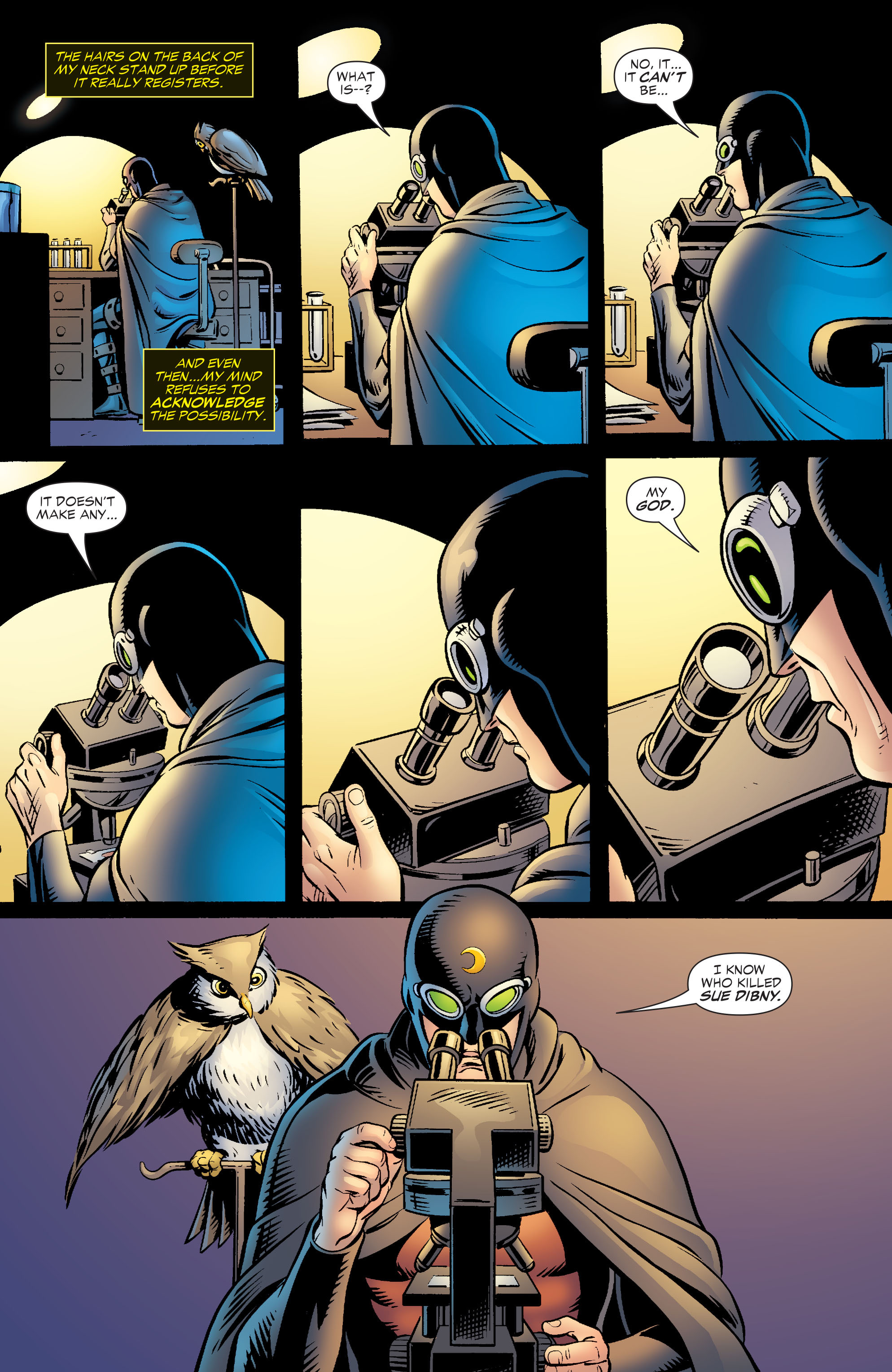 Countdown to Infinite Crisis Omnibus (2003-) issue 23 (JSA: Identity Crisis) - Page 19