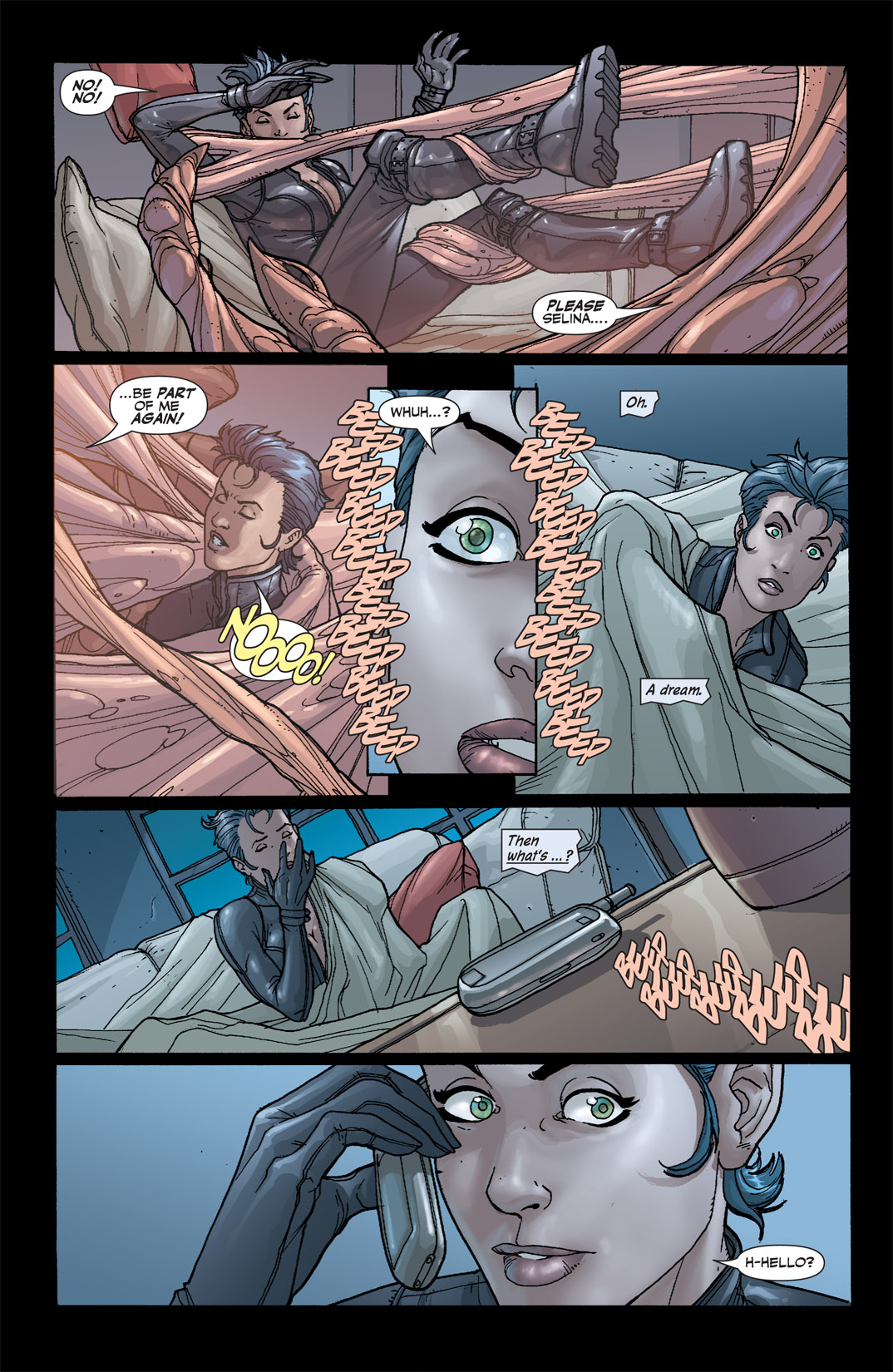 Countdown to Infinite Crisis Omnibus (2003-) issue 244 (Catwoman) - Page 17