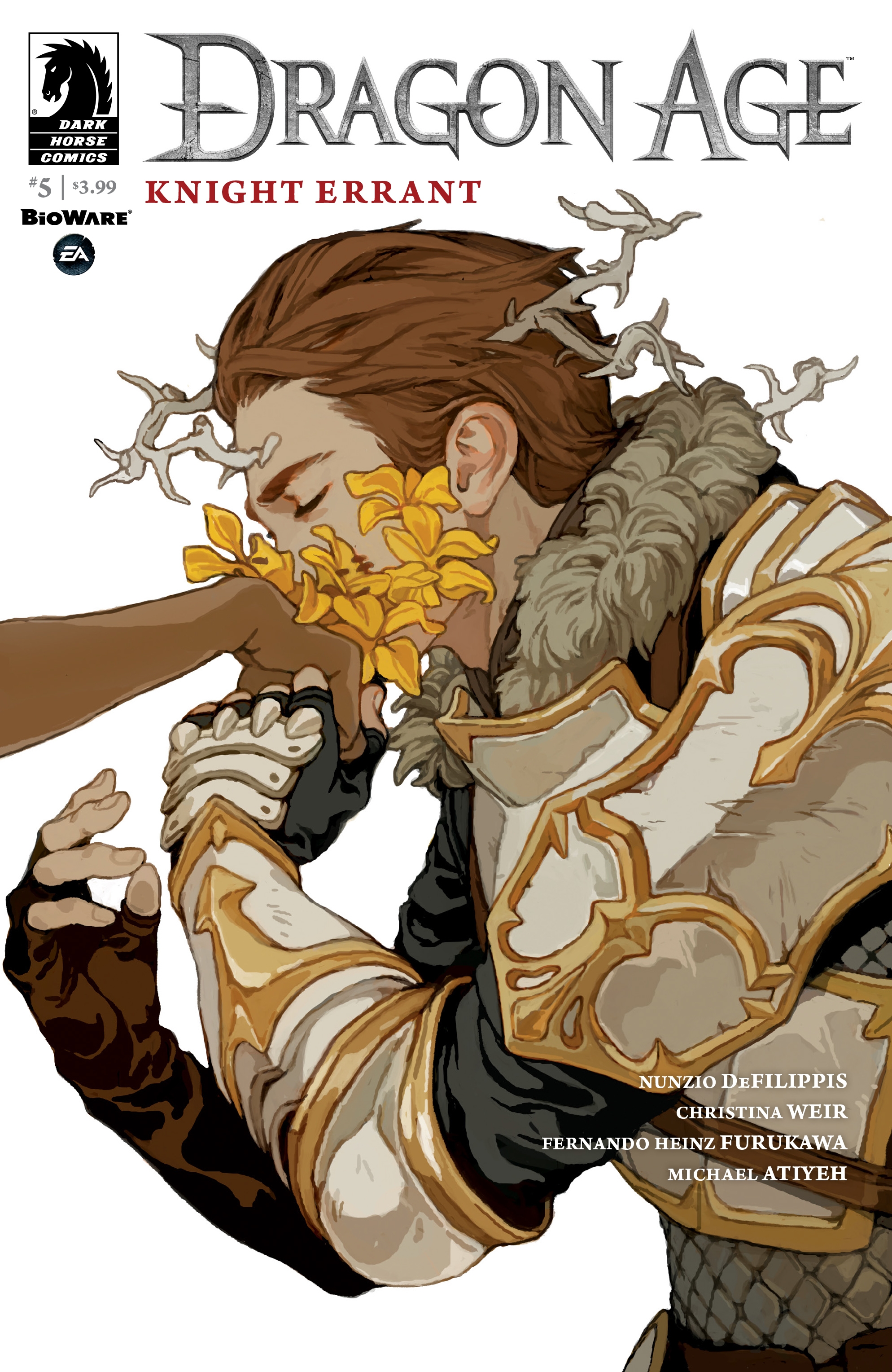 Dragon Age: Knight Errant (2017)-Dragon Age: Knight Errant (2017) #5