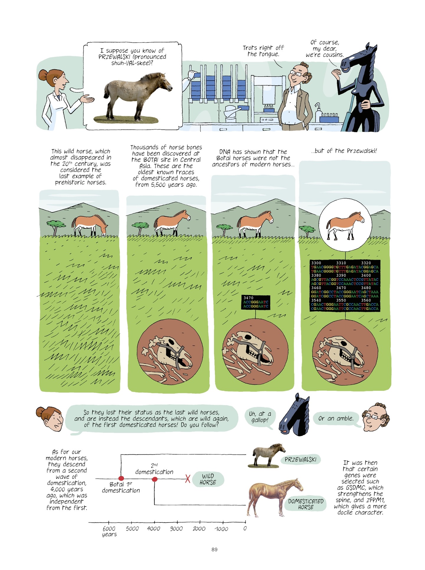 Evolution, Darwin, God, and the Horse-People (2022) issue 1 - Page 89