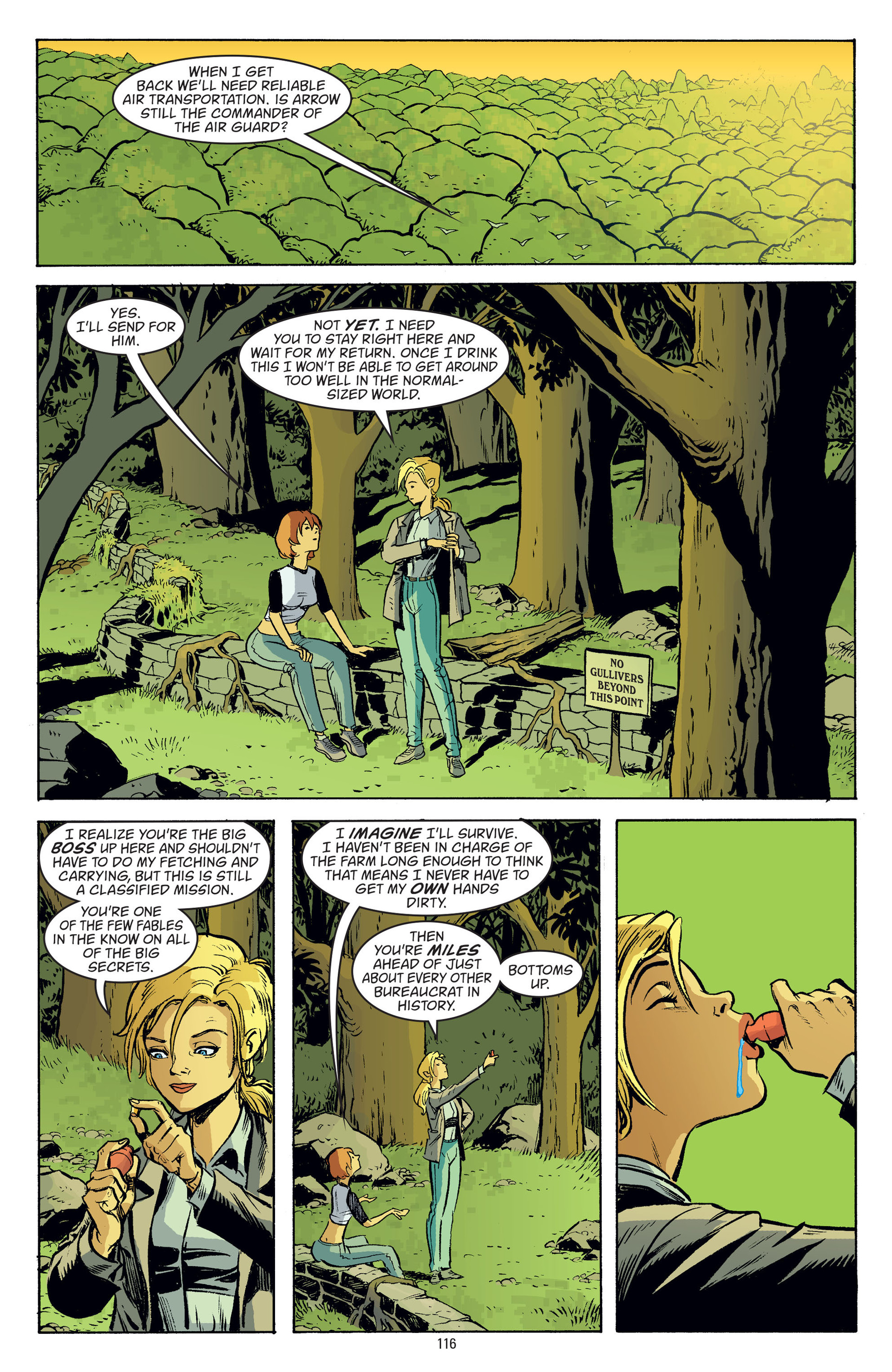 Fables (2002-) issue Vol. 8 - Page 113