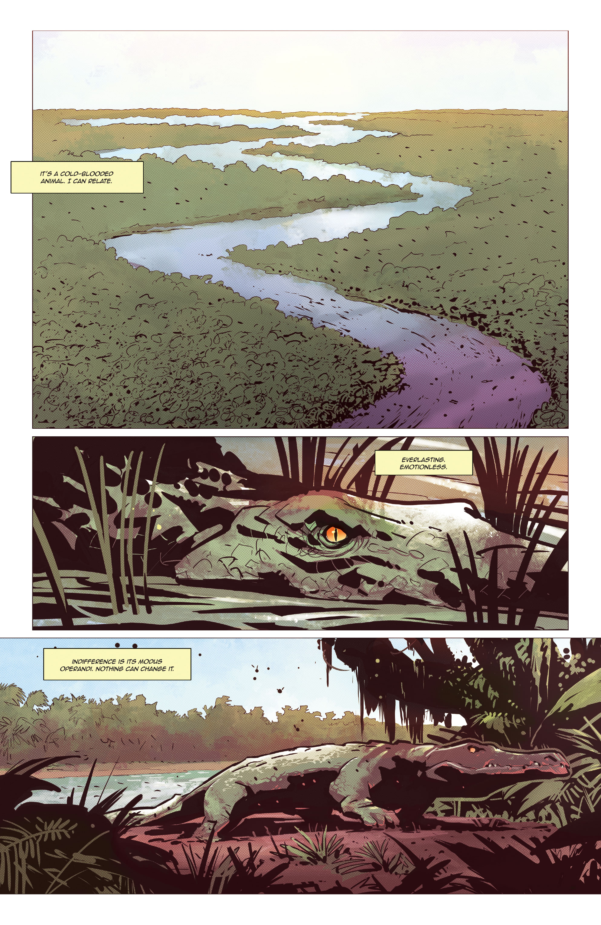 Far Cry: Esperanza's Tears (2022-): Chapter 1 - Page 3