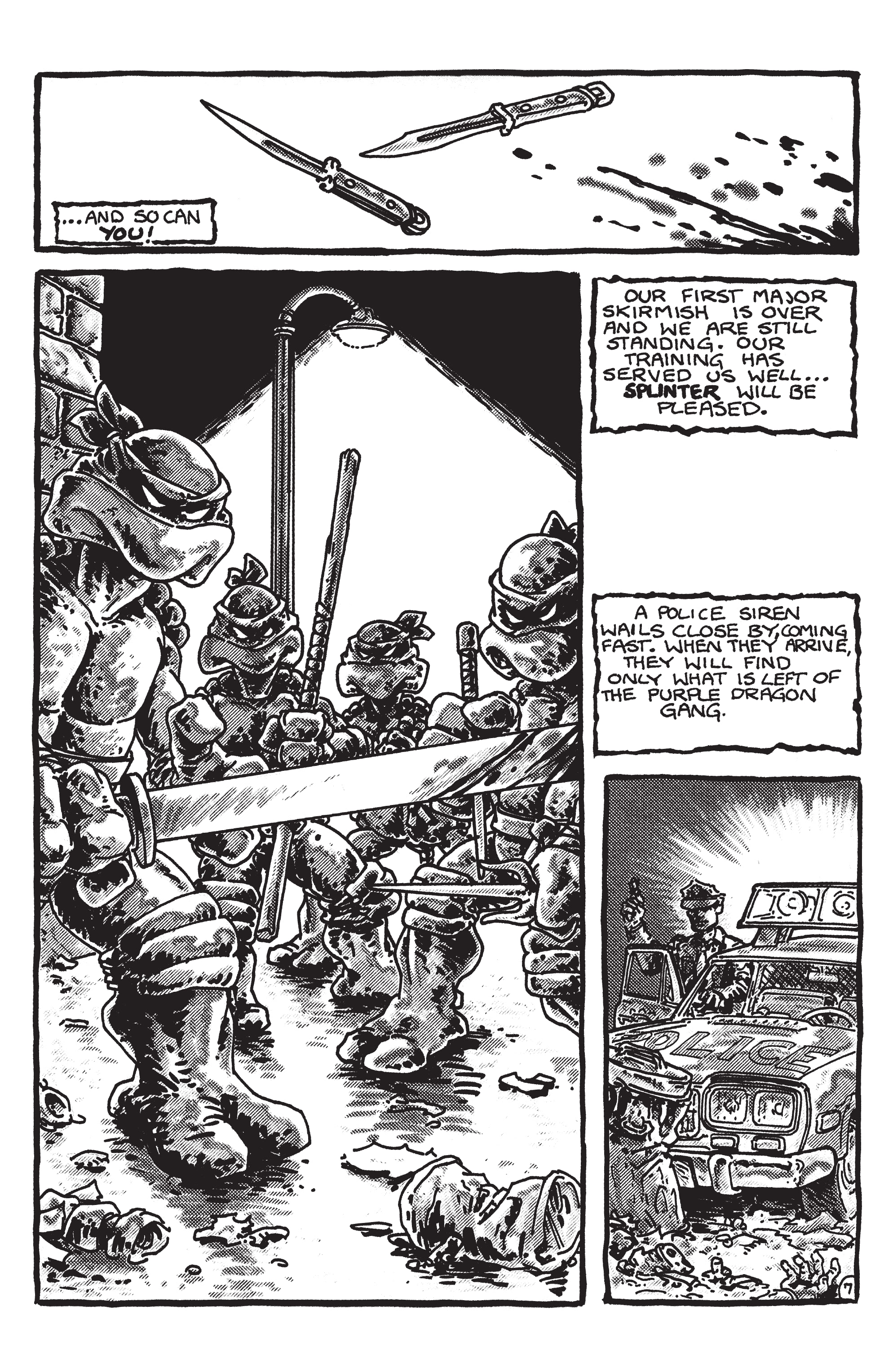 FCBD 2022 Collection: Chapter TMNT - Page 20