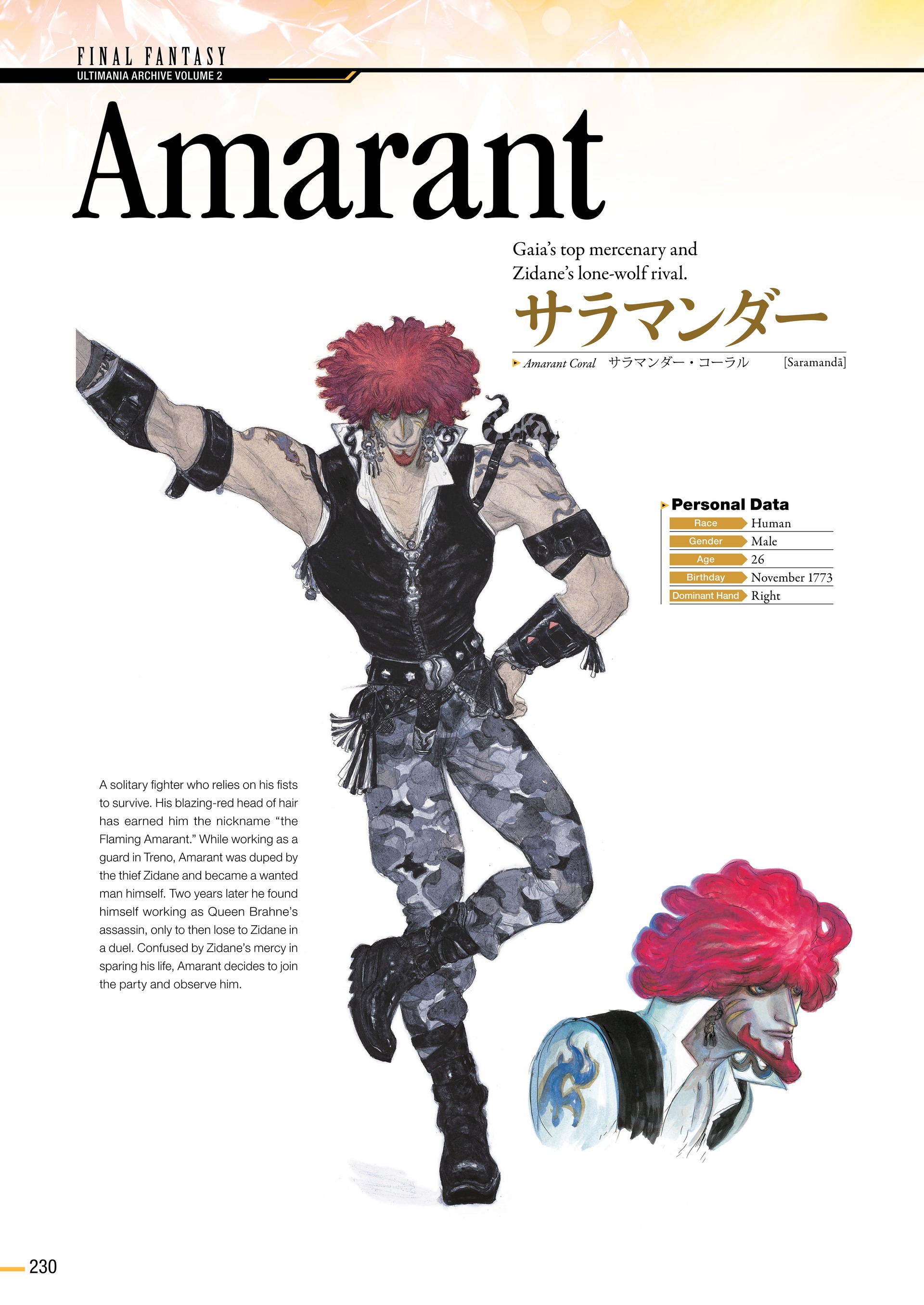 Final Fantasy Ultimania Archive (2018-) issue Vol. 2 - Page 231